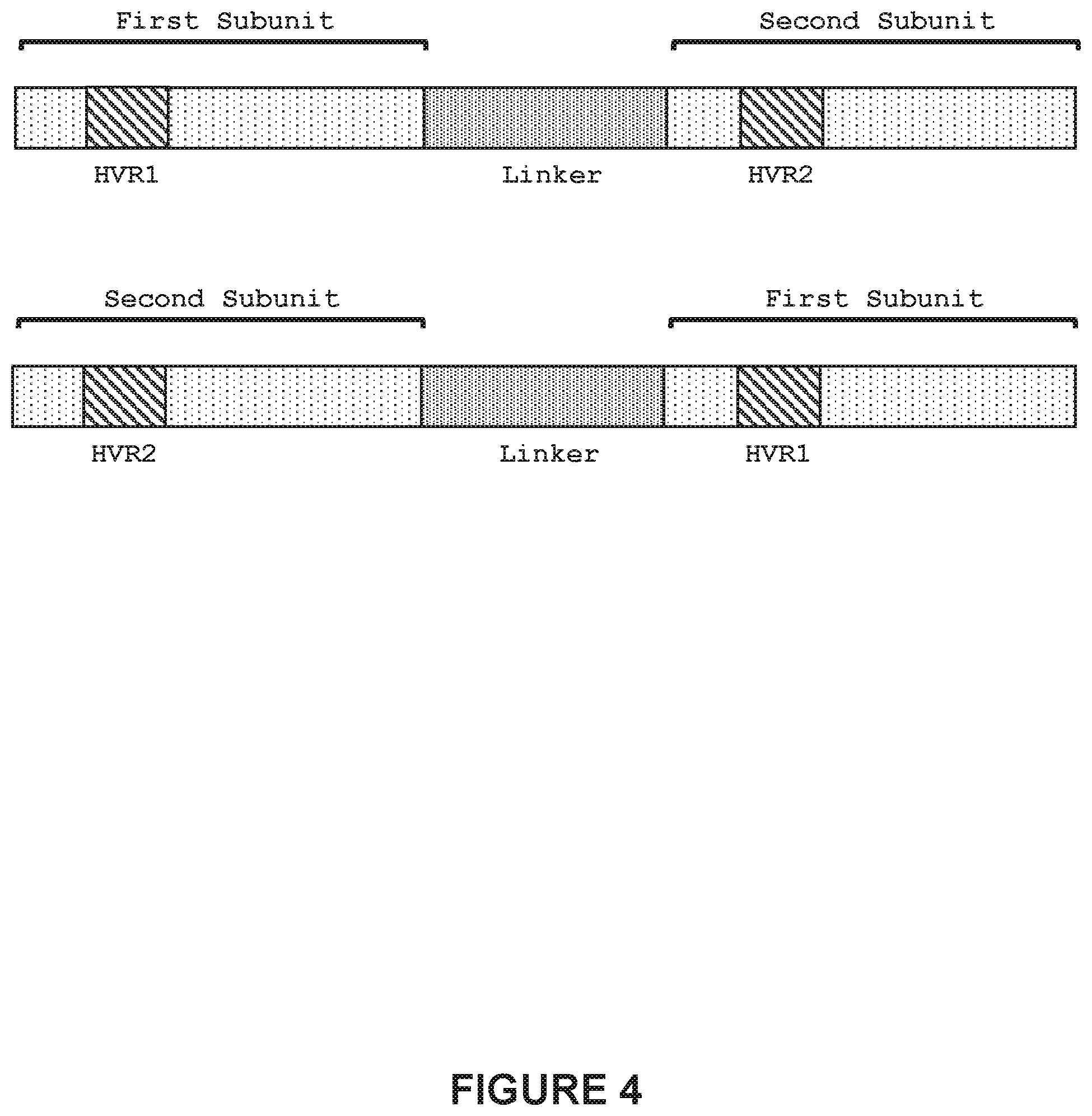 Patent US12410418 Figure 4 – Optimized engineered meganucleases having specificity for a recognition sequence in the Hepatitis B virus genome