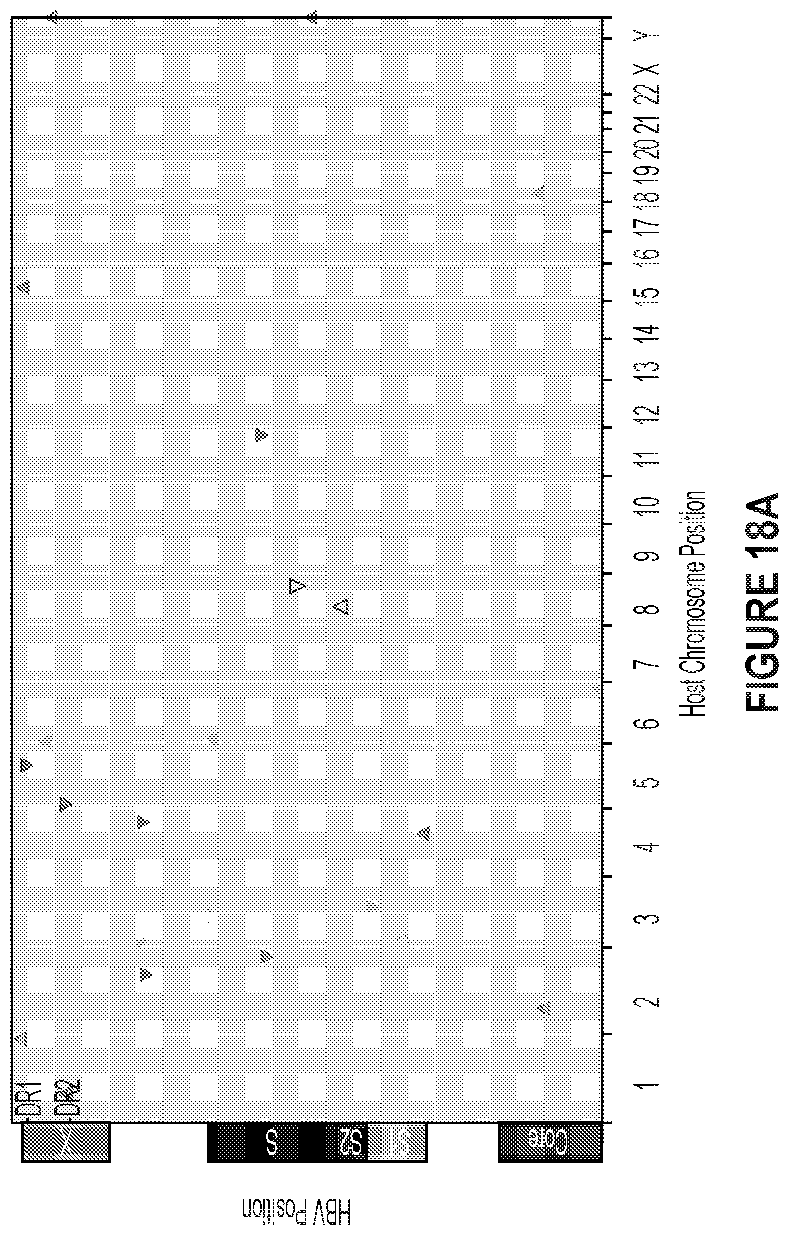 Patent US12410418 Figure 18 – Optimized engineered meganucleases having specificity for a recognition sequence in the Hepatitis B virus genome