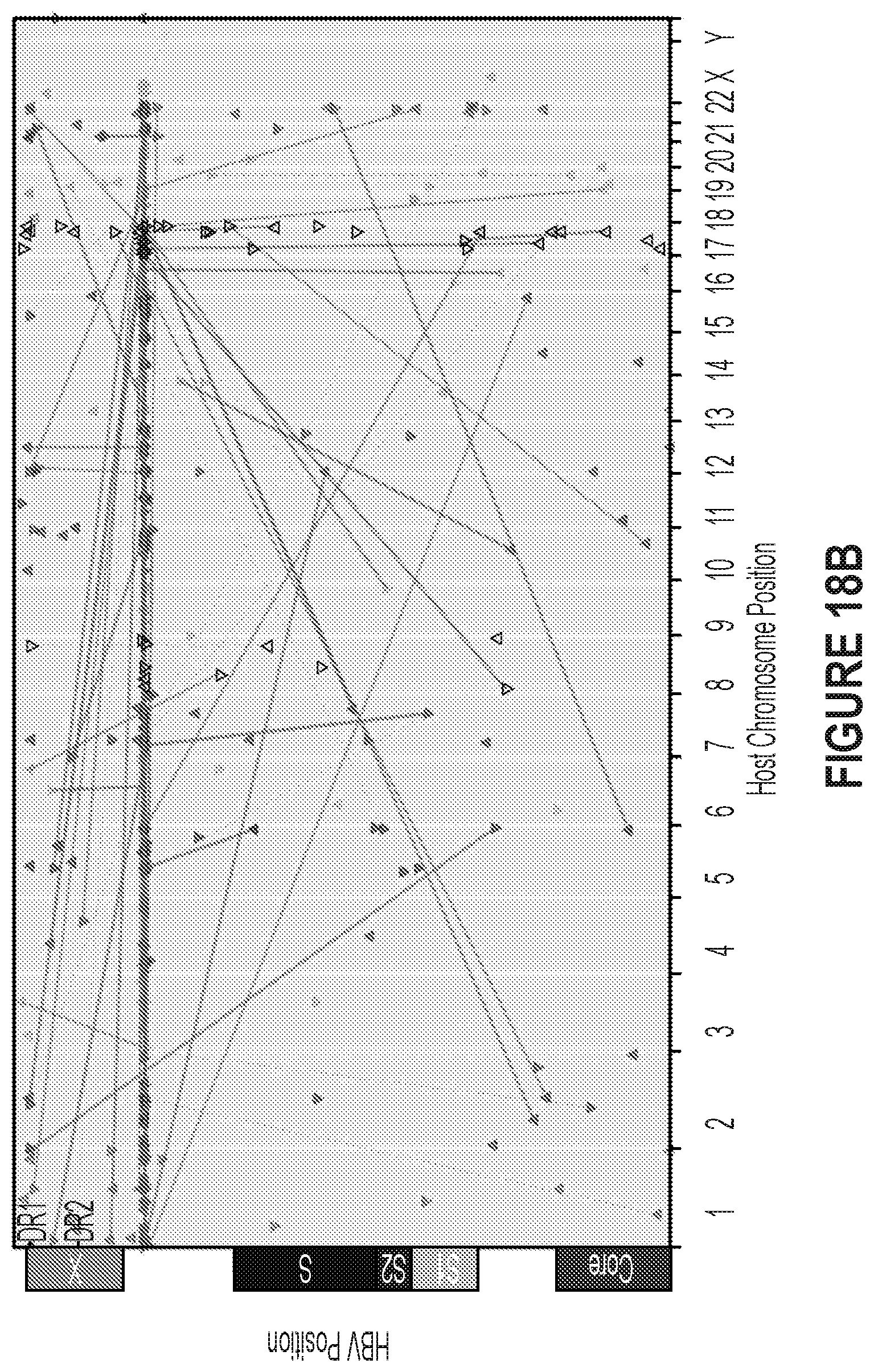 Patent US12410418 Figure 19 – Optimized engineered meganucleases having specificity for a recognition sequence in the Hepatitis B virus genome