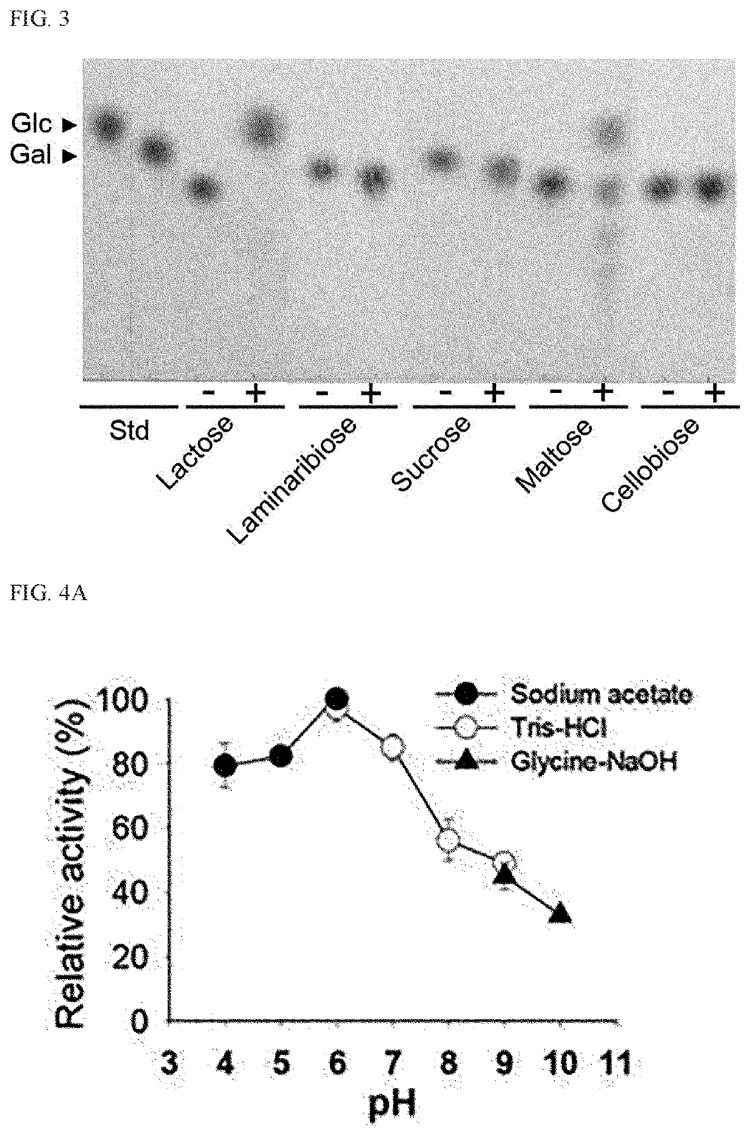 Patent US12410419 Figure 2 – Use of enzyme that cleaves both alpha- and beta- 1,4-glycosidic bonds