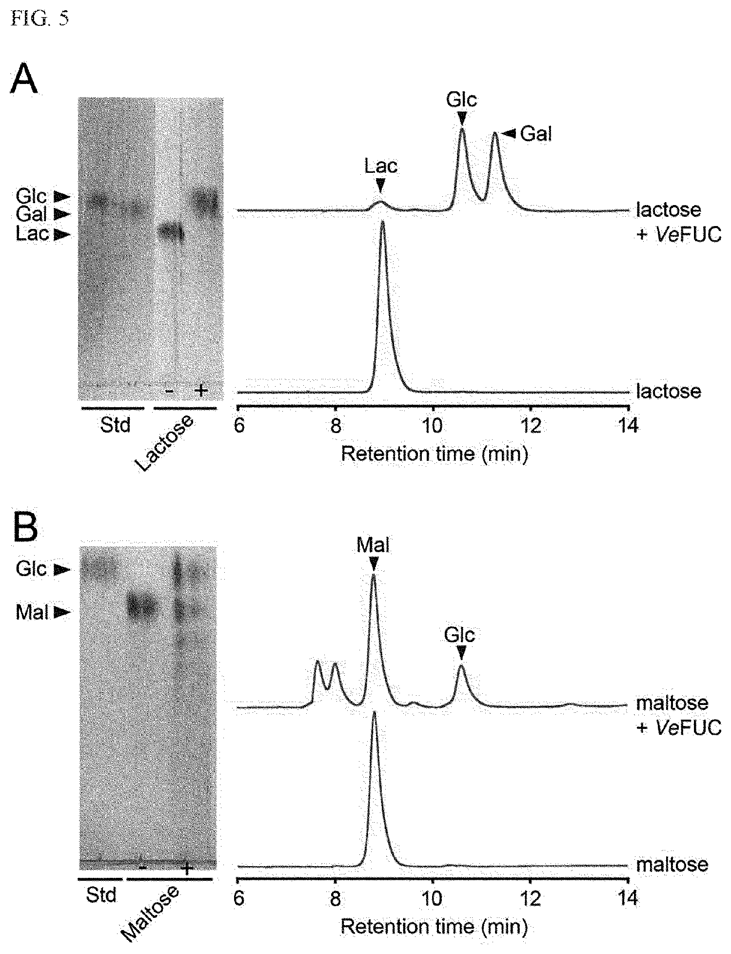Patent US12410419 Figure 7 – Use of enzyme that cleaves both alpha- and beta- 1,4-glycosidic bonds
