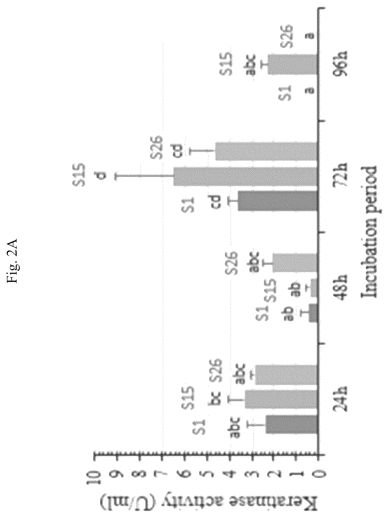 Patent US12410421 Figure 5 – Keratinase composition