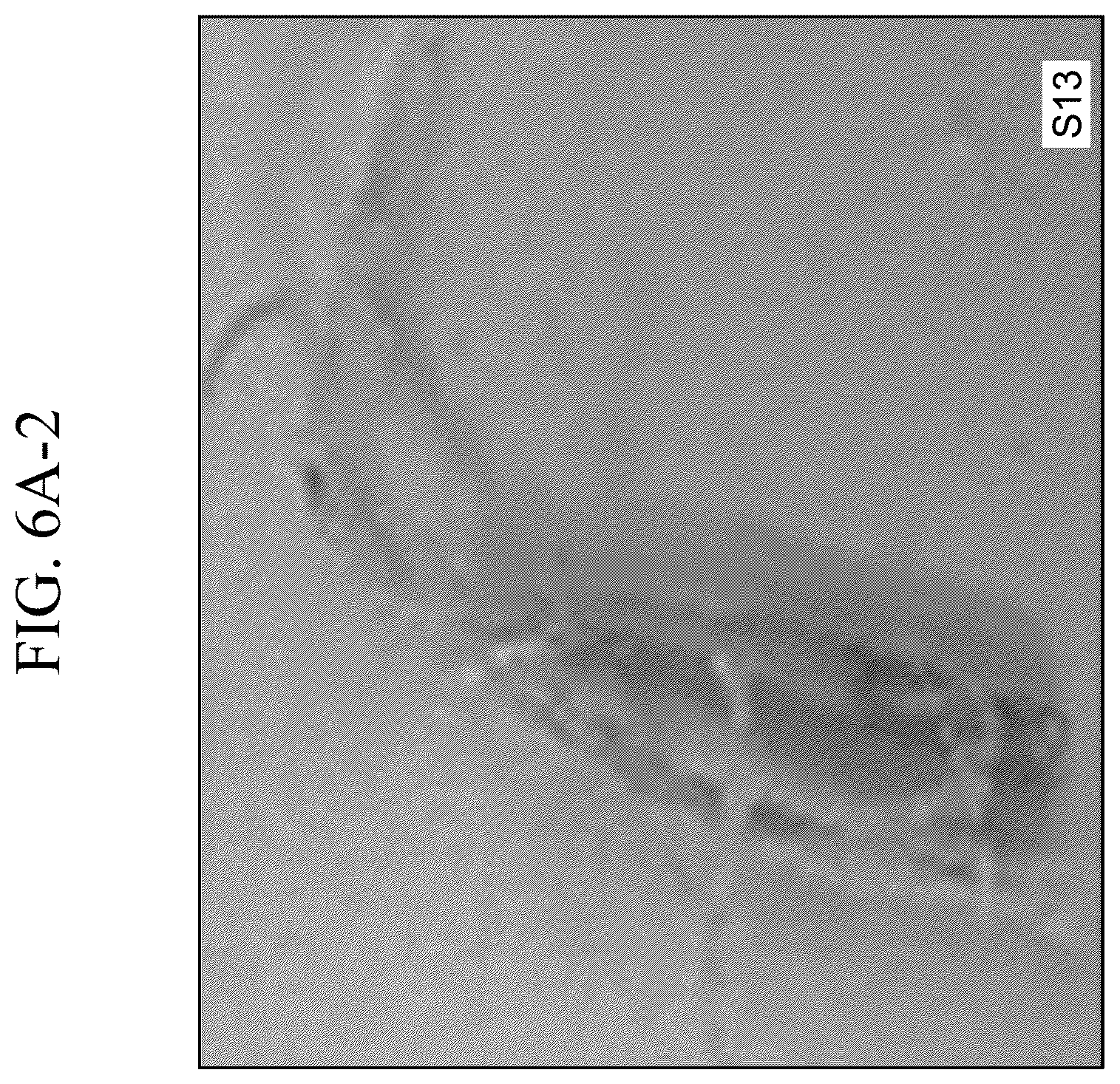 Patent US12410421 Figure 16 – Keratinase composition