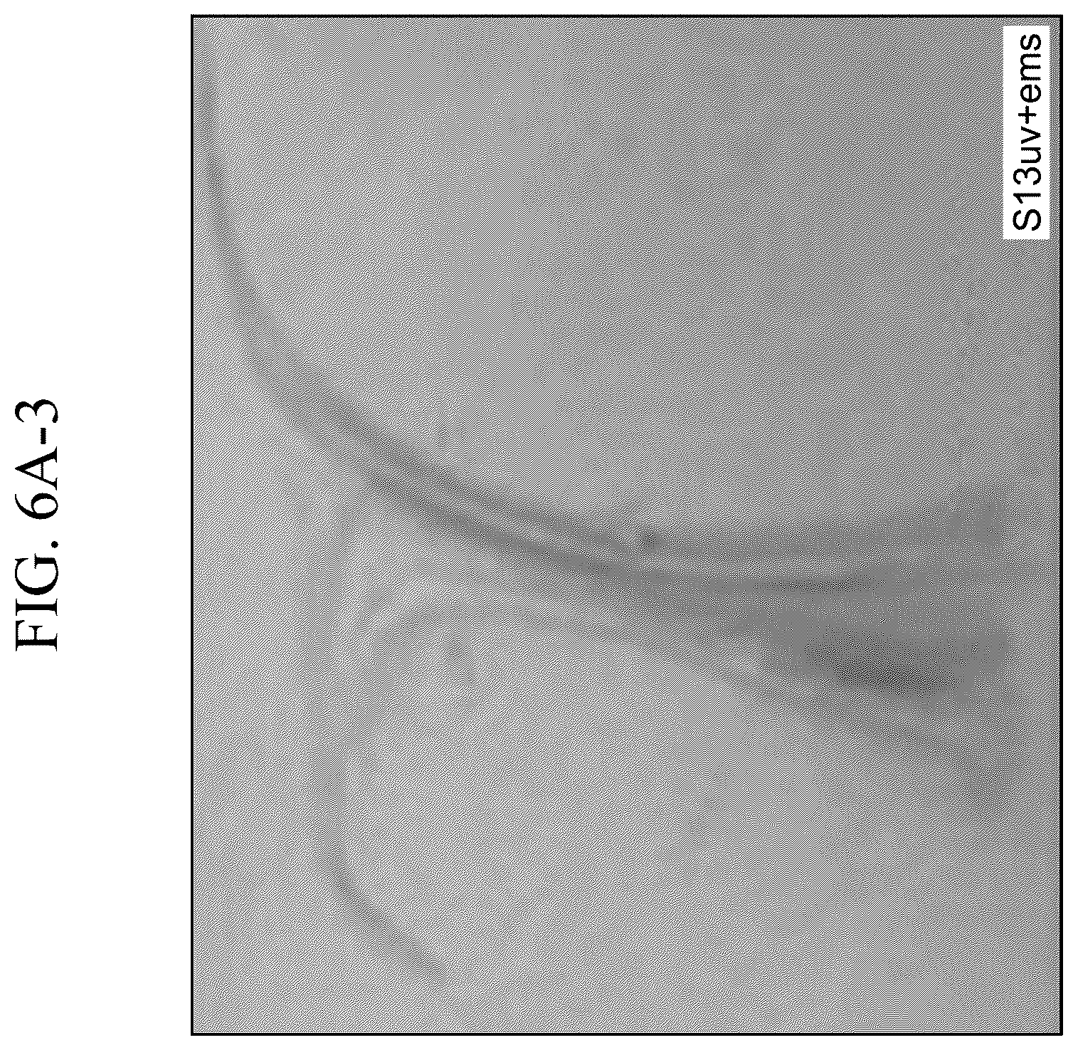 Patent US12410421 Figure 17 – Keratinase composition