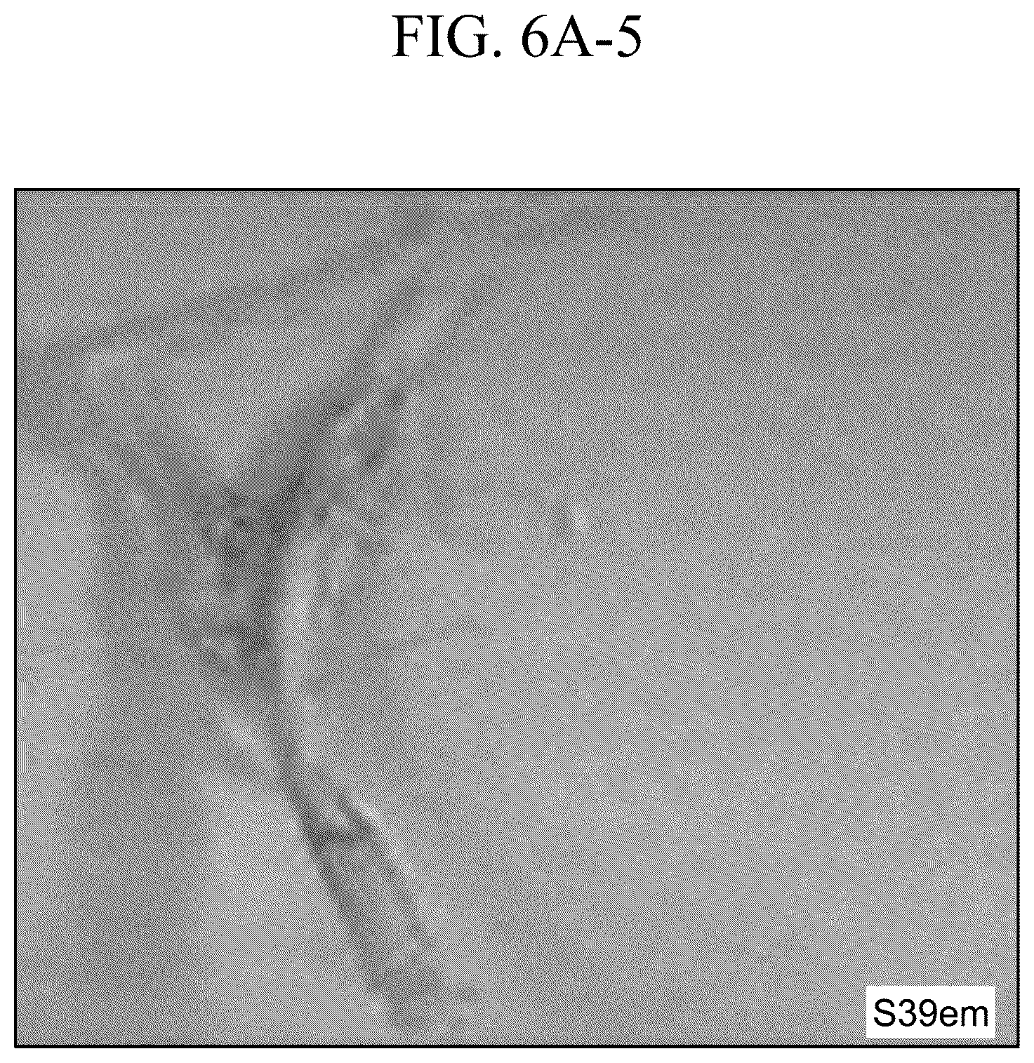 Patent US12410421 Figure 19 – Keratinase composition