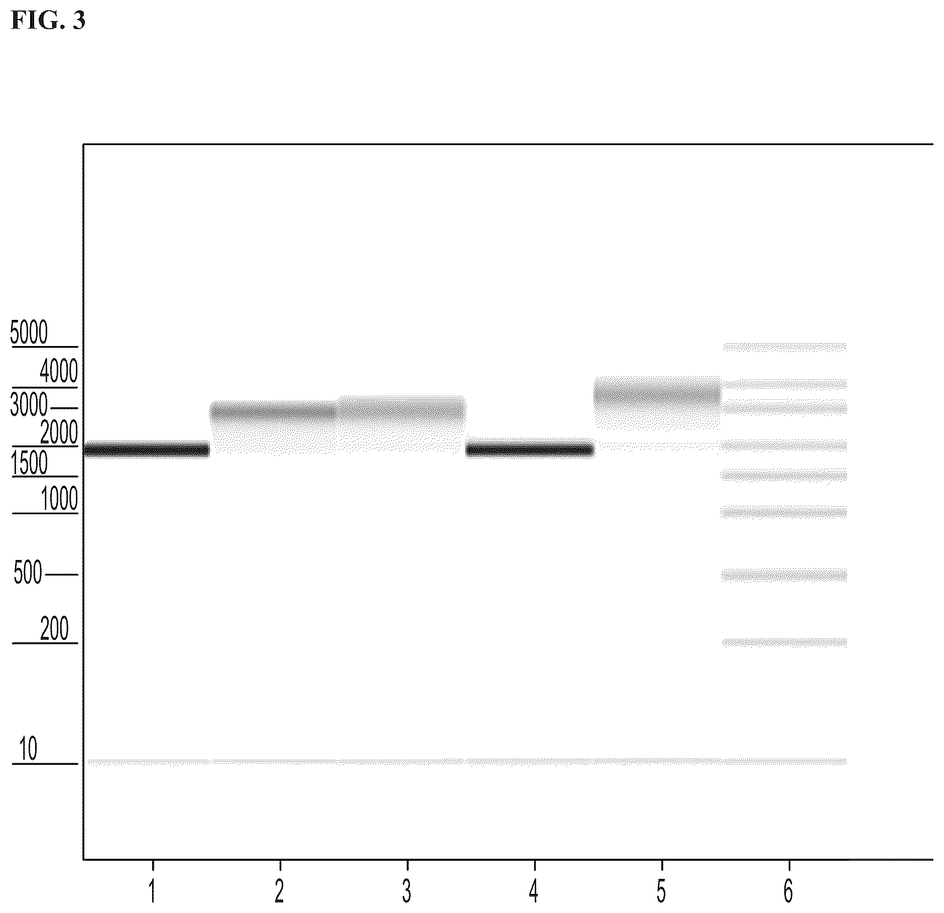 Patent US12410422 Figure 2 – Methods for purification of messenger RNA