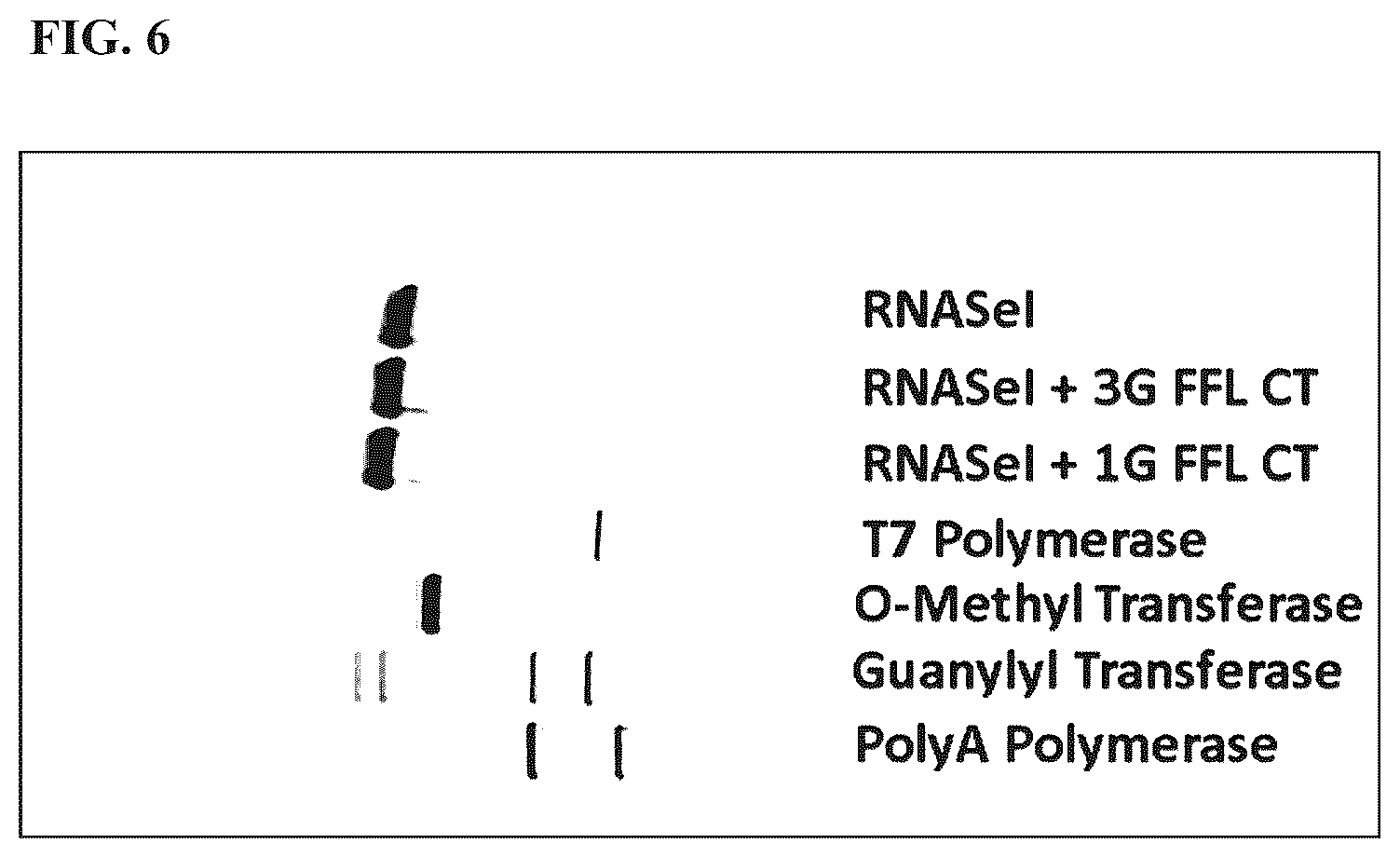 Patent US12410422 Figure 5 – Methods for purification of messenger RNA