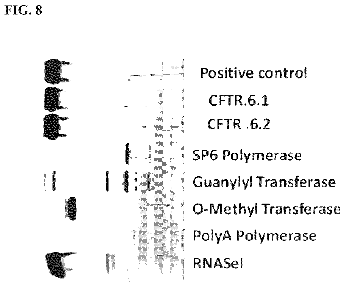 Patent US12410422 Figure 7 – Methods for purification of messenger RNA
