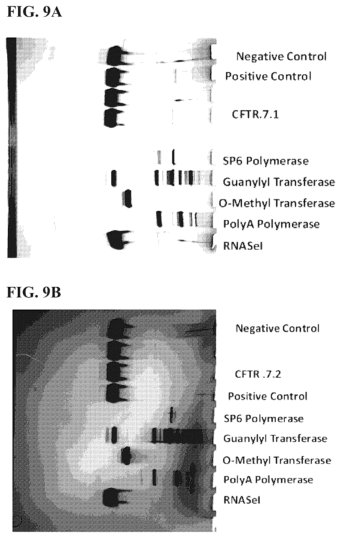 Patent US12410422 Figure 8 – Methods for purification of messenger RNA