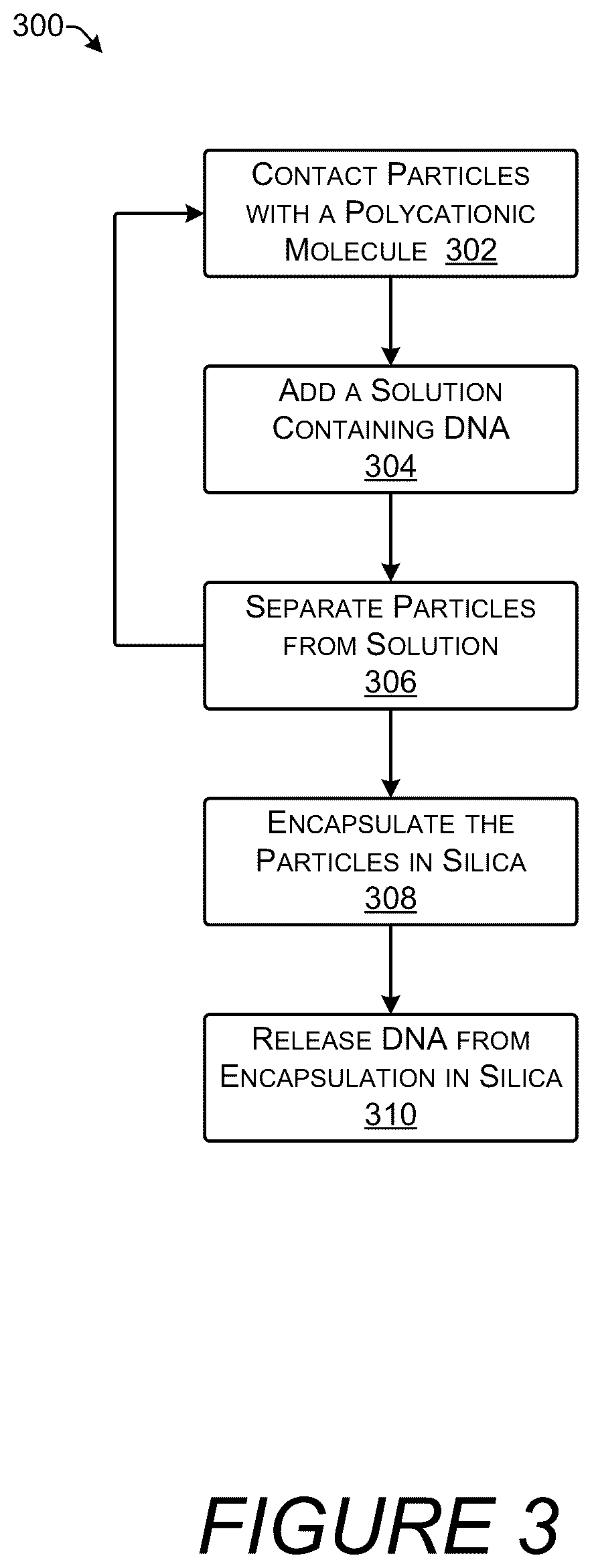 Patent US12410423 Figure 3 – Silica encapsulated DNA on magnetic nanoparticles