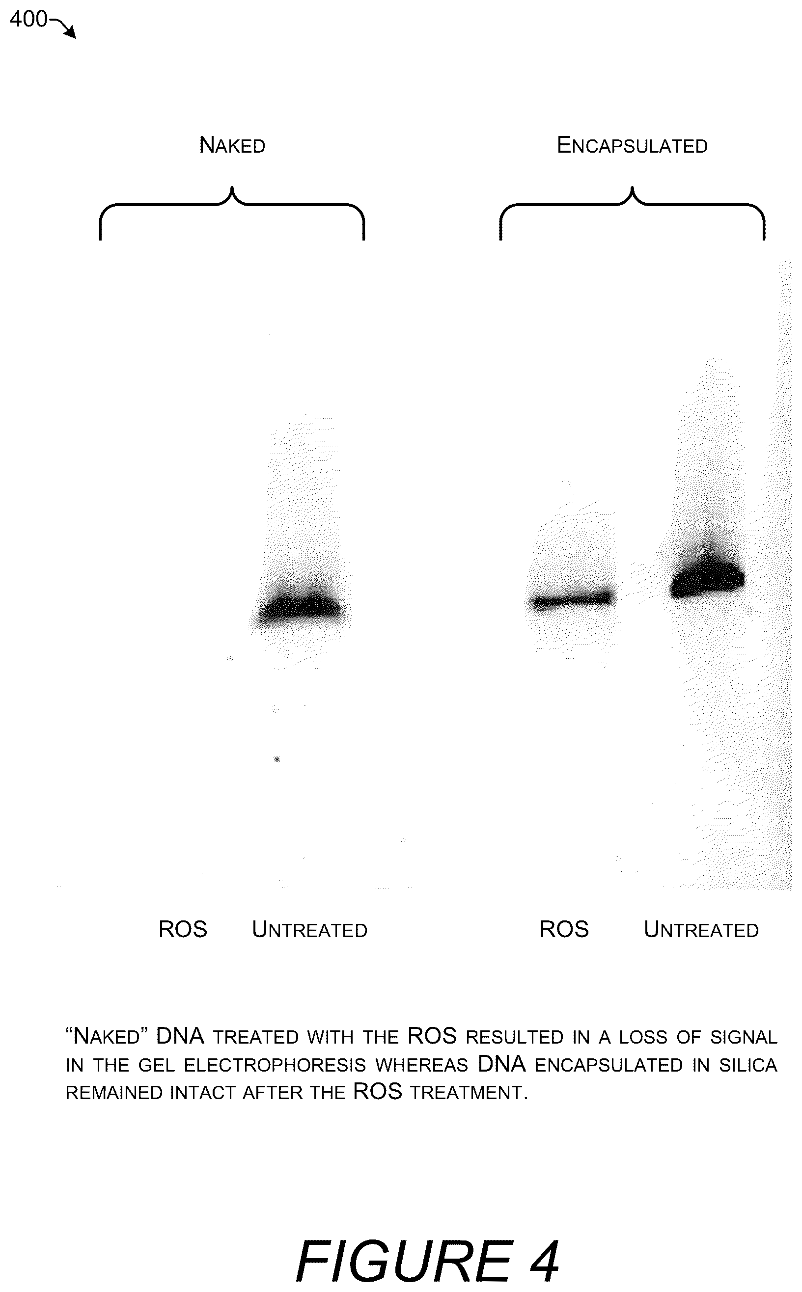 Patent US12410423 Figure 4 – Silica encapsulated DNA on magnetic nanoparticles