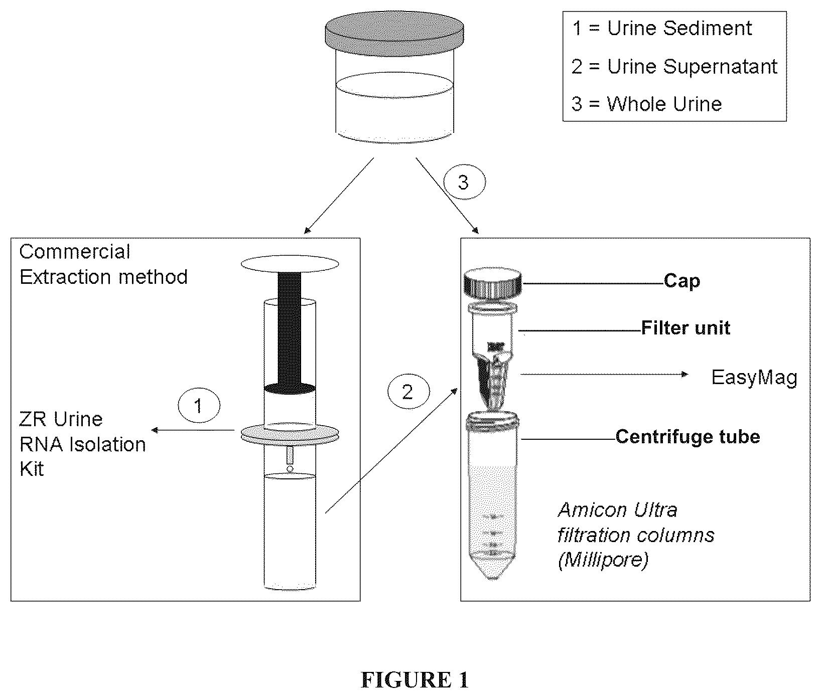 Patent US12410424 — Diagnosis of prostate cancer — Figure 1