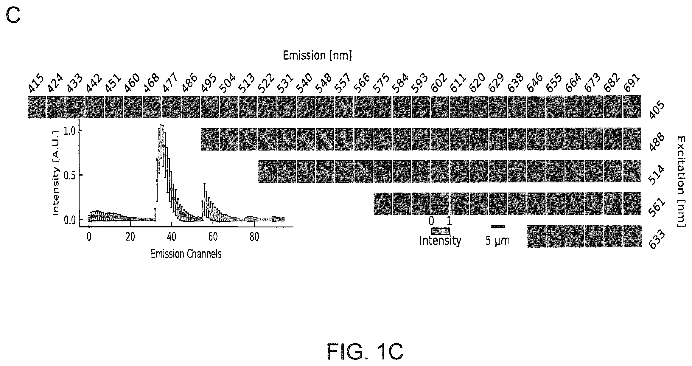 Patent US12410425 Figure 3 – Highly multiplexed phylogenetic imaging of microbial communities