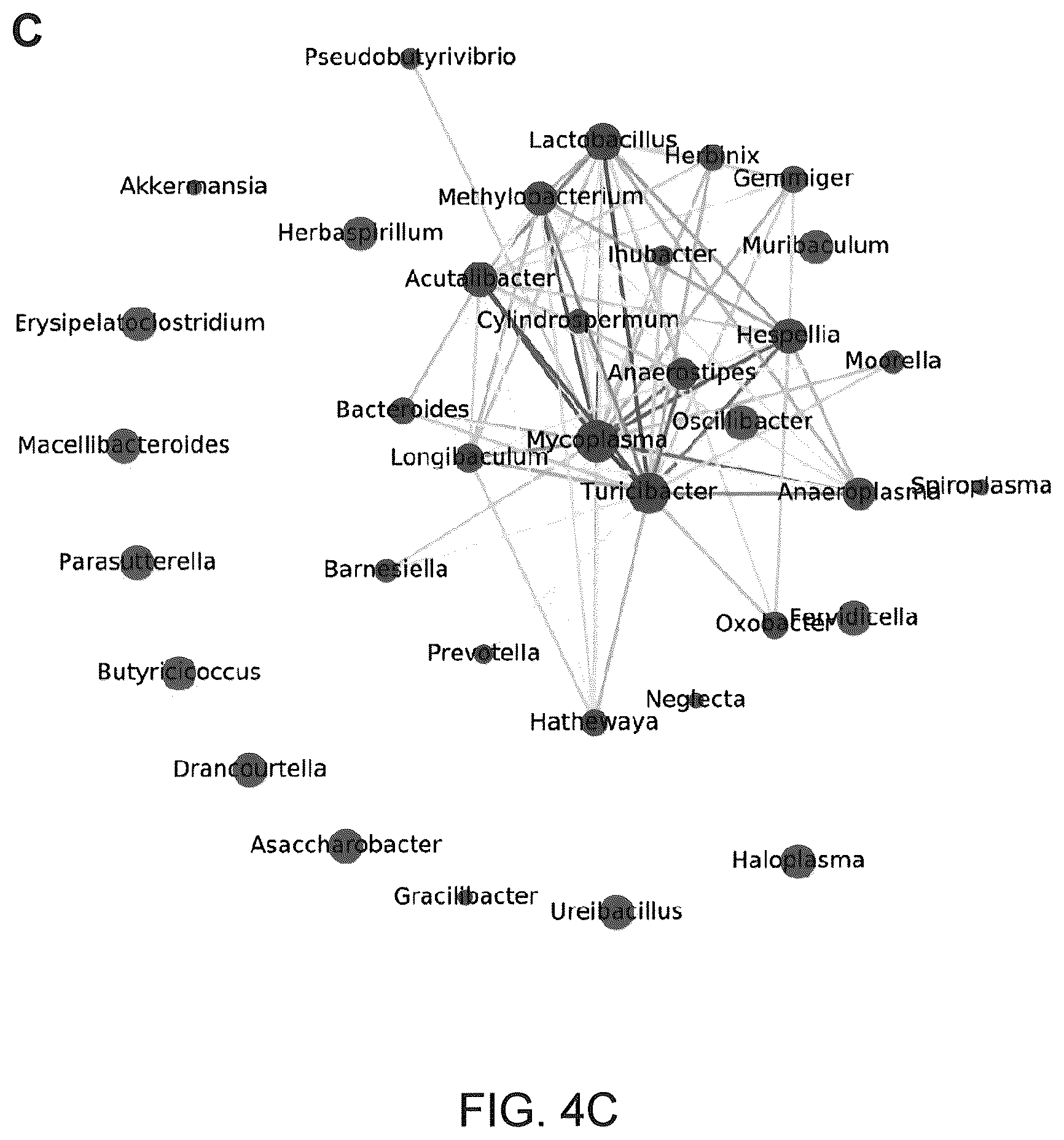 Patent US12410425 Figure 11 – Highly multiplexed phylogenetic imaging of microbial communities