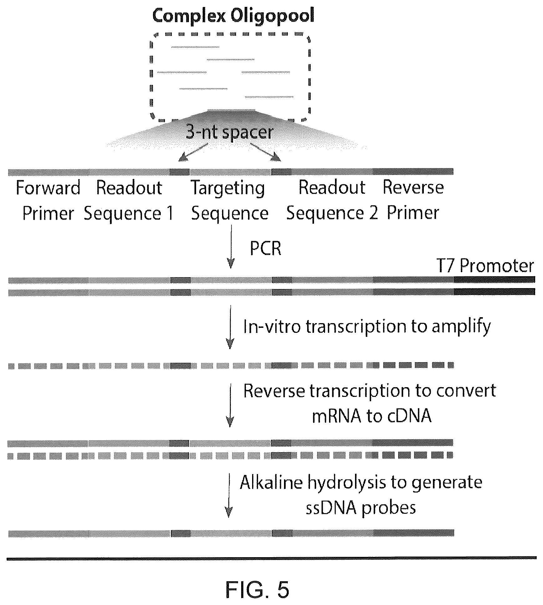 Patent US12410425 Figure 13 – Highly multiplexed phylogenetic imaging of microbial communities