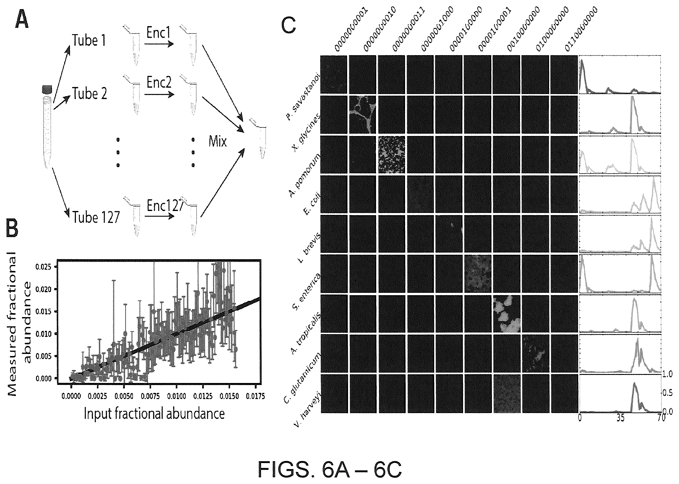 Patent US12410425 Figure 14 – Highly multiplexed phylogenetic imaging of microbial communities