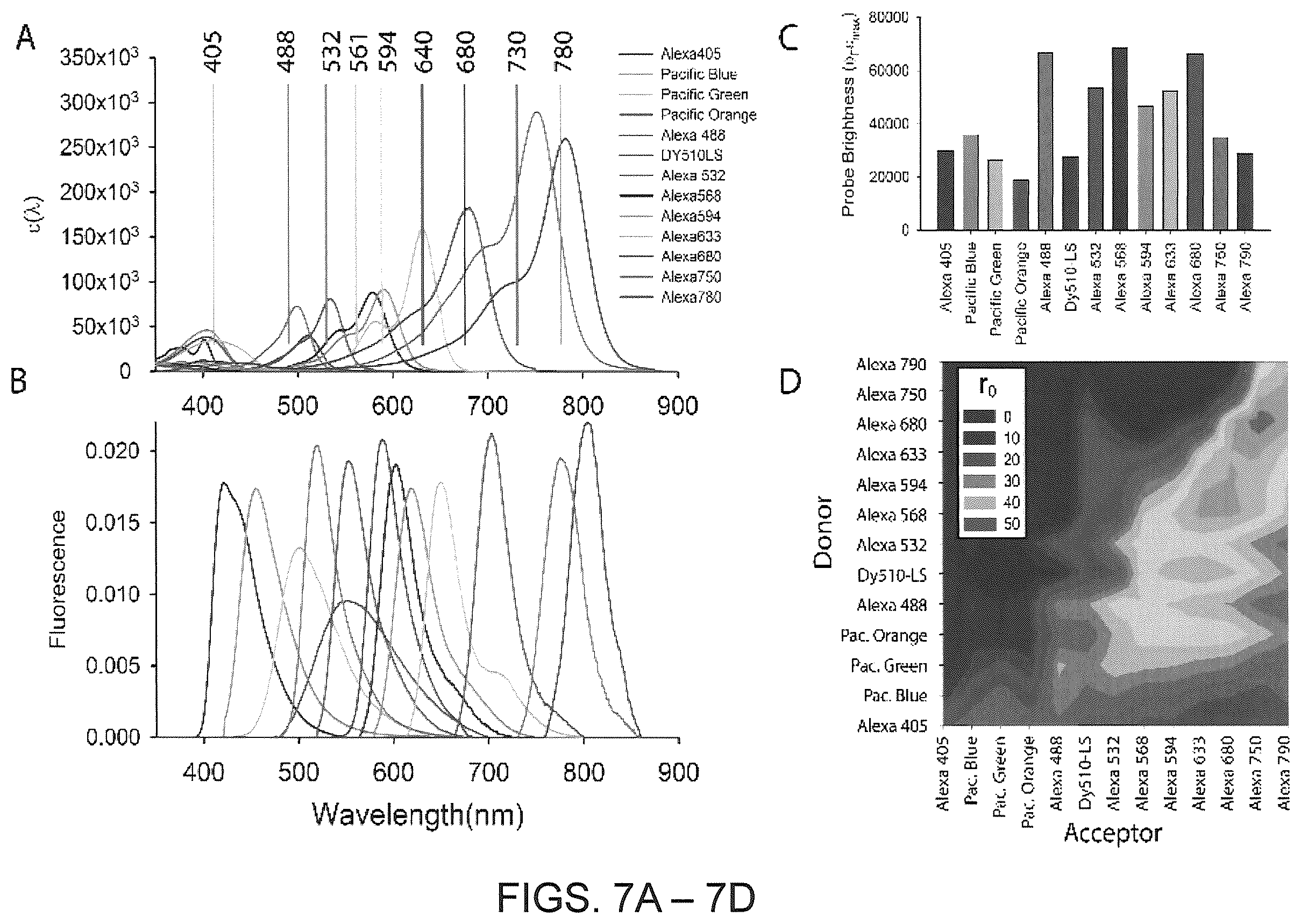 Patent US12410425 Figure 15 – Highly multiplexed phylogenetic imaging of microbial communities