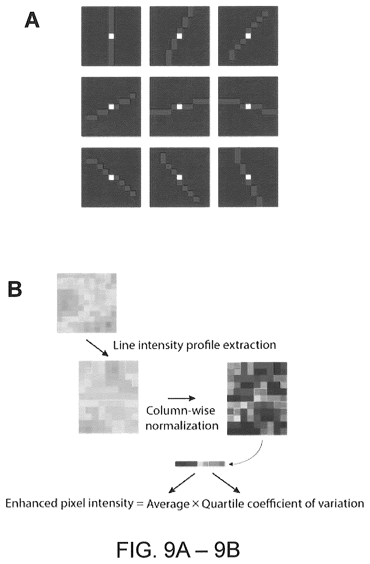 Patent US12410425 Figure 17 – Highly multiplexed phylogenetic imaging of microbial communities