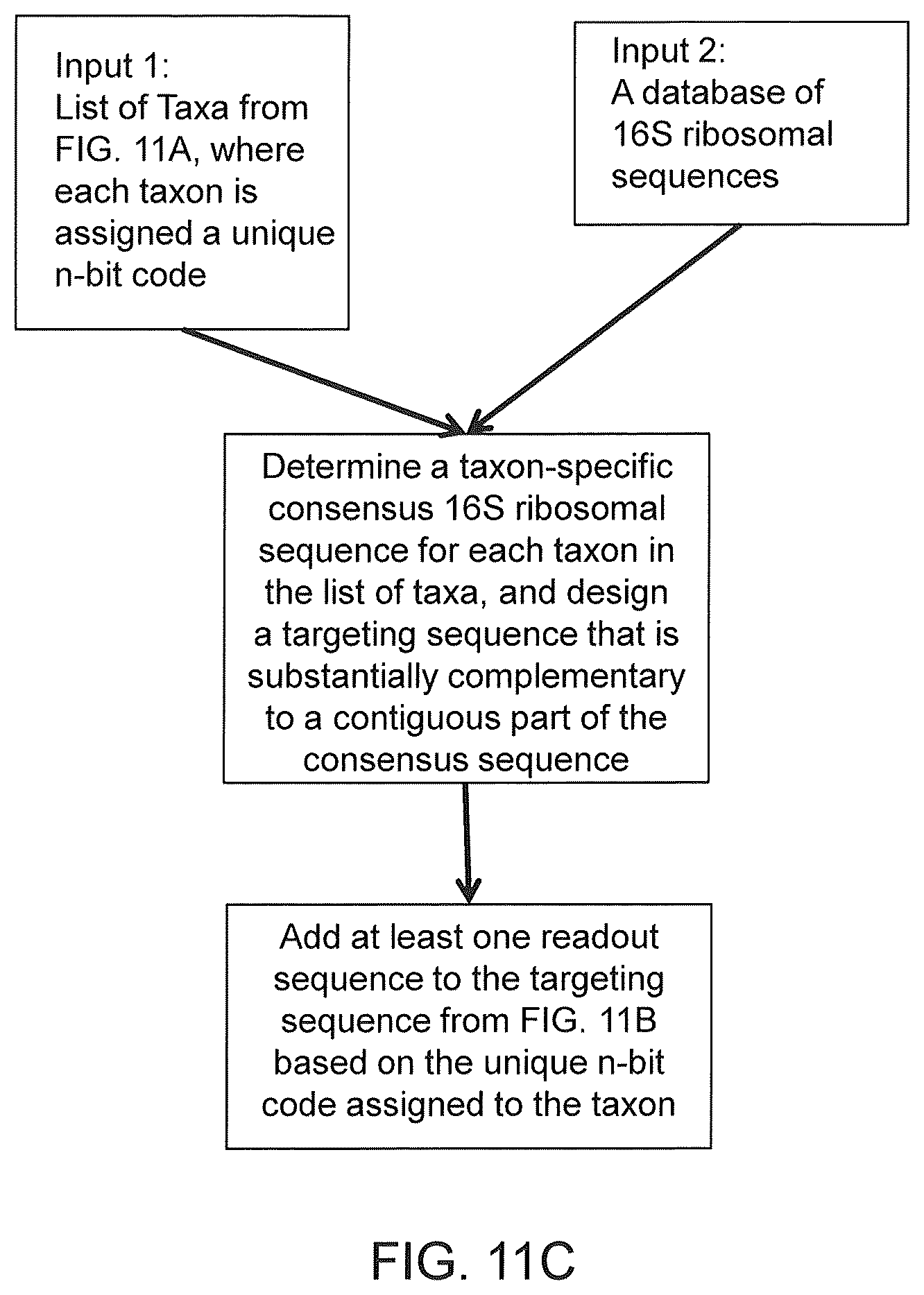 Patent US12410425 Figure 20 – Highly multiplexed phylogenetic imaging of microbial communities
