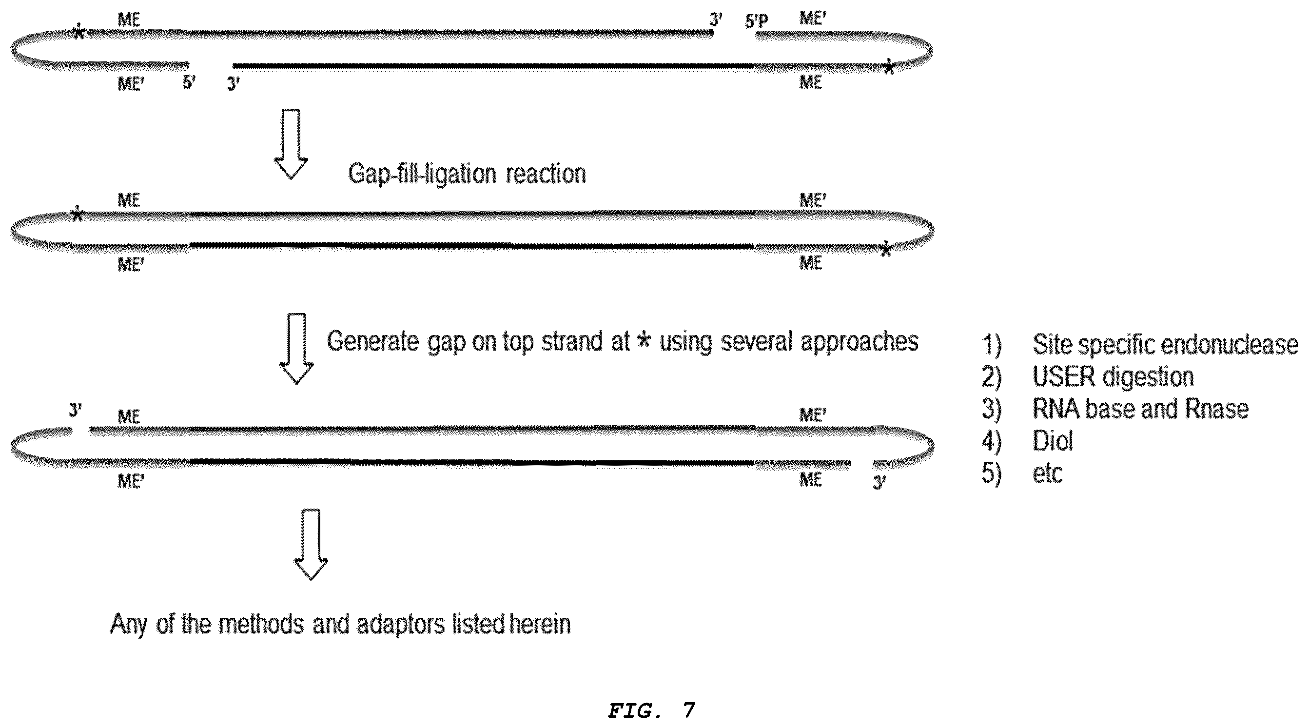 Patent US12410426 Figure 7 – Methods for generating, and sequencing from, asymmetric adaptors on the ends of polynucleotide templates comprising hairpin loops