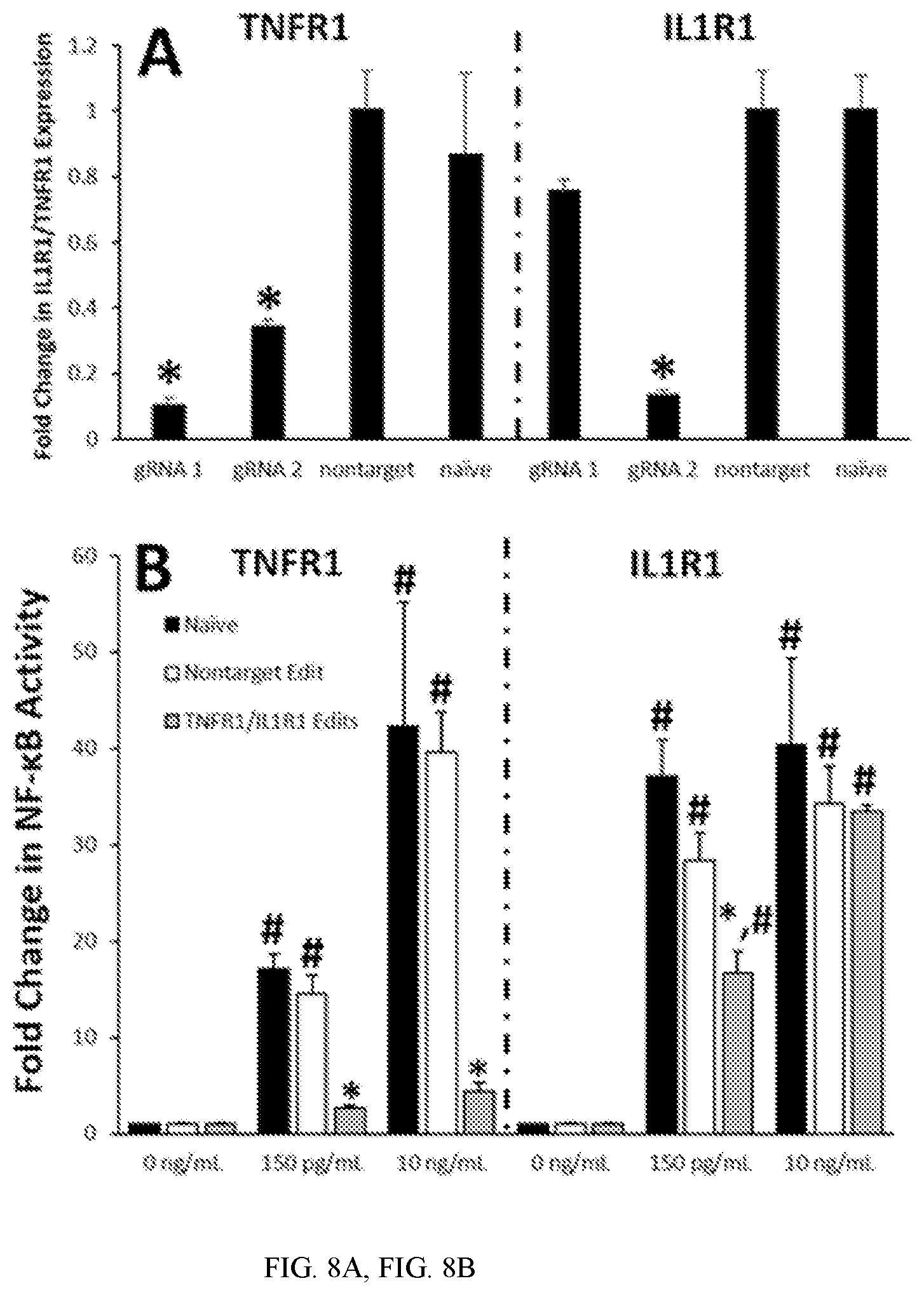 Patent US12410428 Figure 8 – RNA-guided transcriptional regulation and methods of using the same for the treatment of back pain