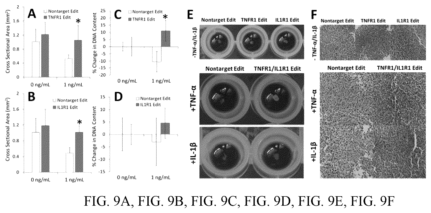 Patent US12410428 Figure 9 – RNA-guided transcriptional regulation and methods of using the same for the treatment of back pain