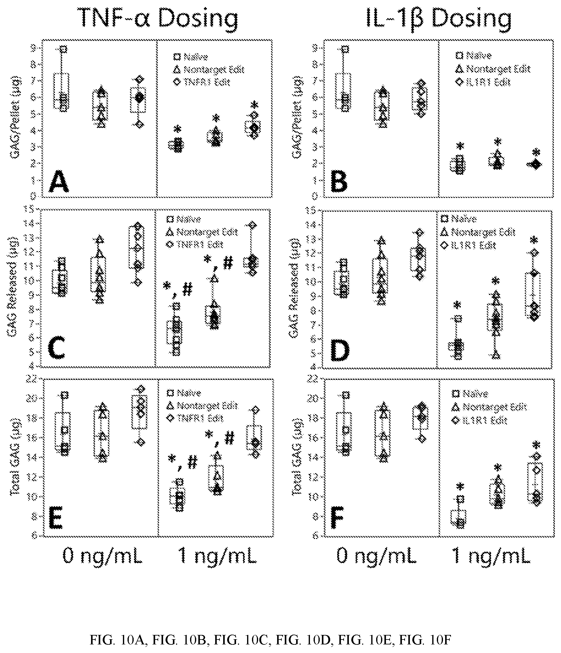 Patent US12410428 Figure 10 – RNA-guided transcriptional regulation and methods of using the same for the treatment of back pain