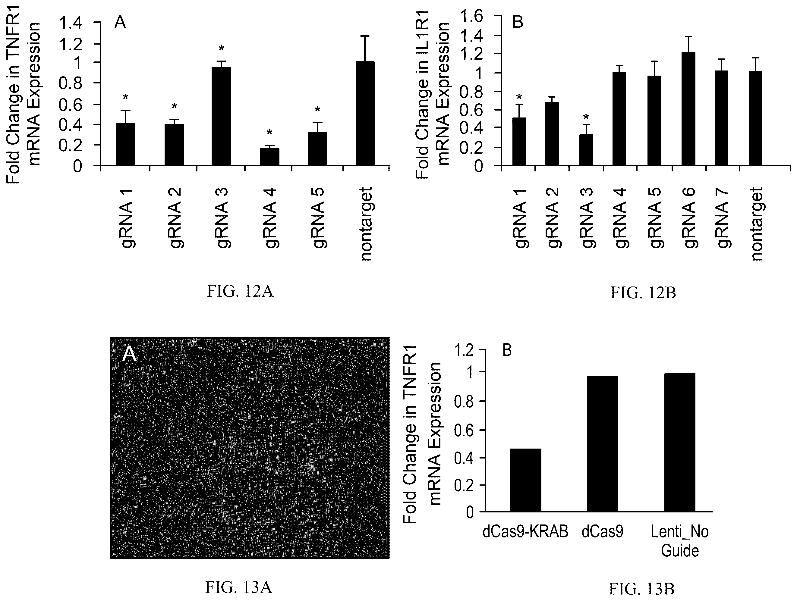 Patent US12410428 Figure 12 – RNA-guided transcriptional regulation and methods of using the same for the treatment of back pain