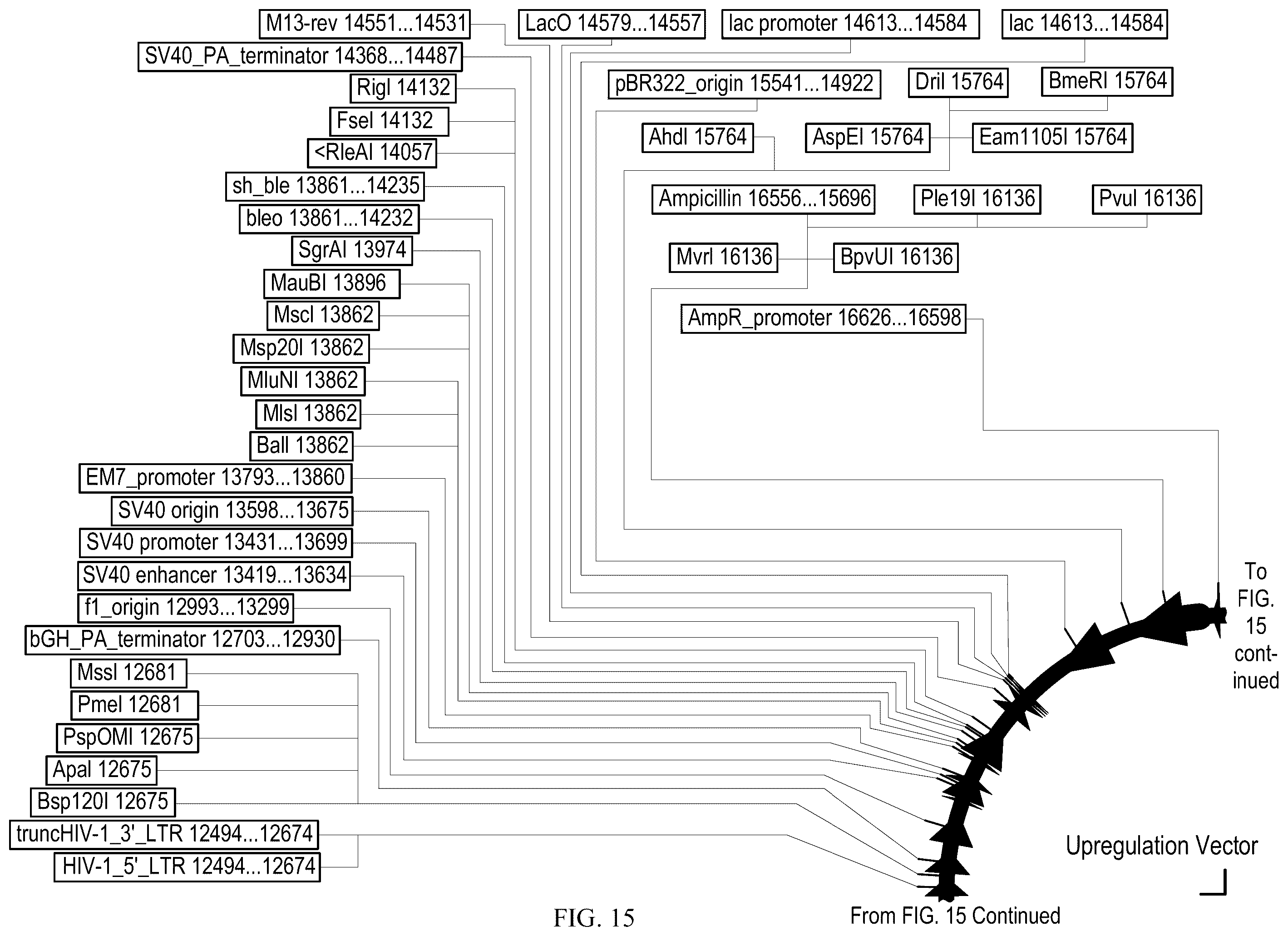 Patent US12410428 Figure 14 – RNA-guided transcriptional regulation and methods of using the same for the treatment of back pain