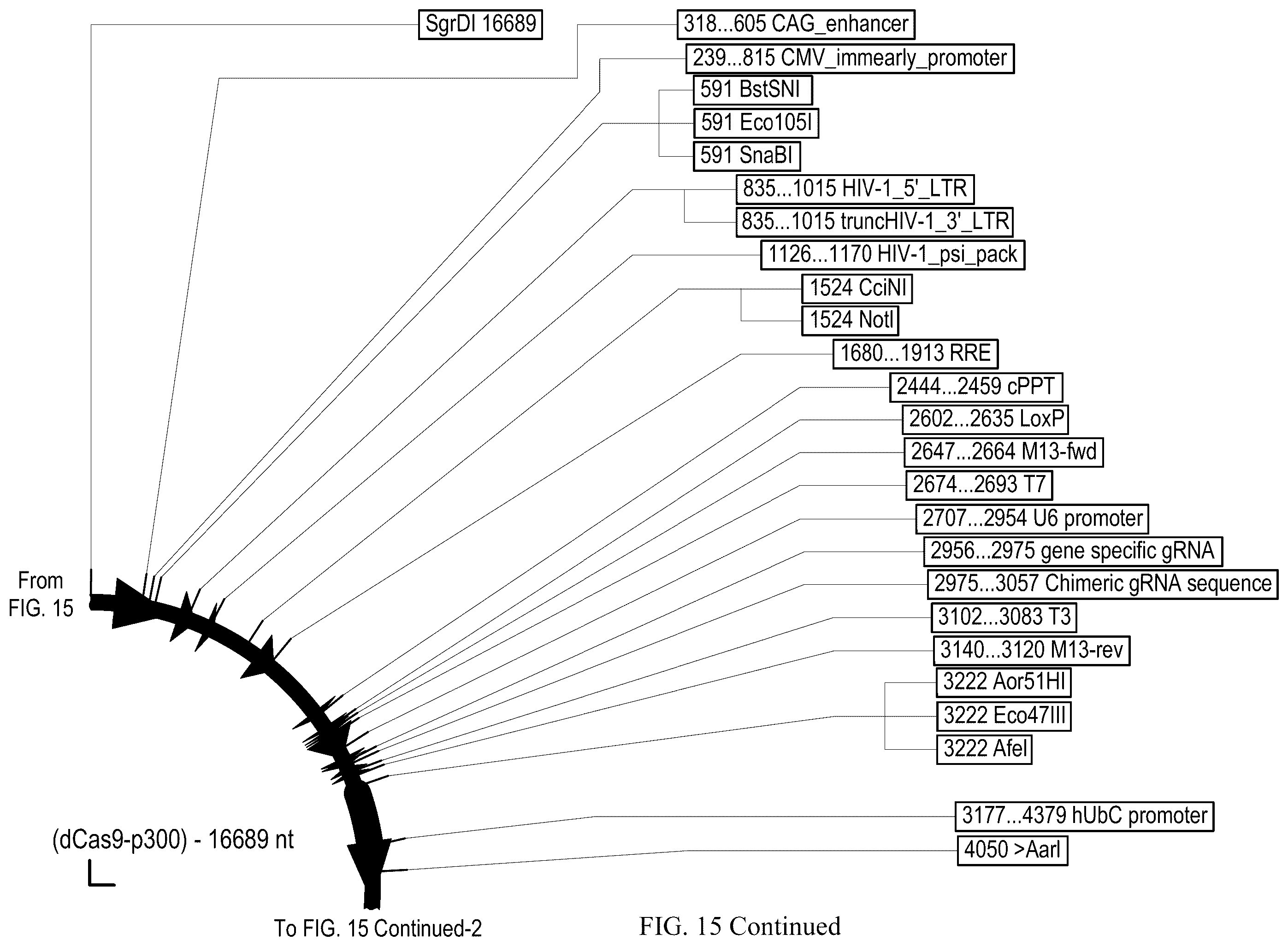 Patent US12410428 Figure 15 – RNA-guided transcriptional regulation and methods of using the same for the treatment of back pain