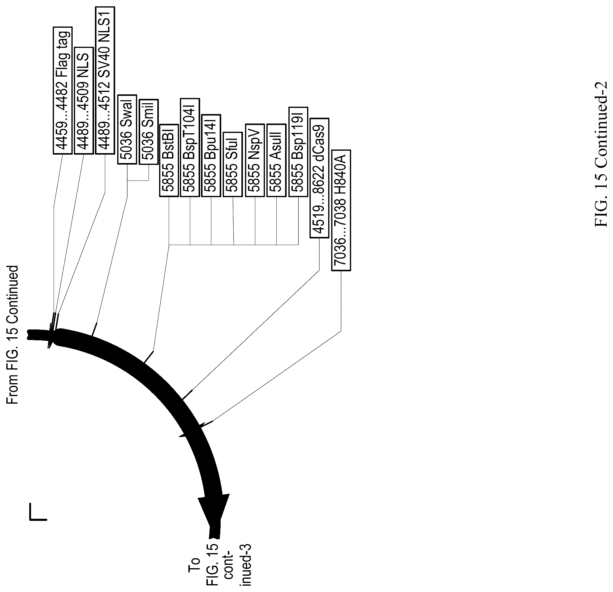 Patent US12410428 Figure 16 – RNA-guided transcriptional regulation and methods of using the same for the treatment of back pain