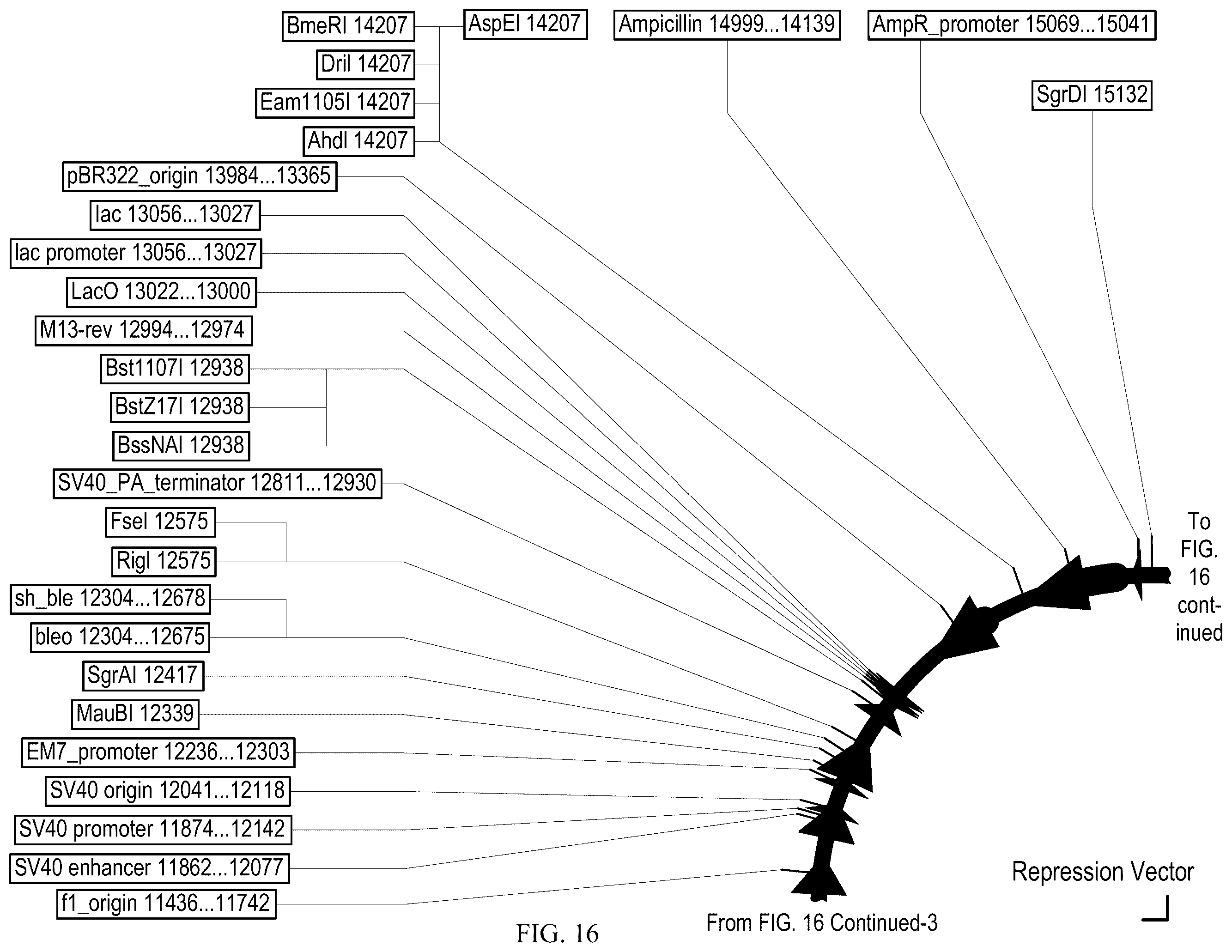 Patent US12410428 Figure 18 – RNA-guided transcriptional regulation and methods of using the same for the treatment of back pain