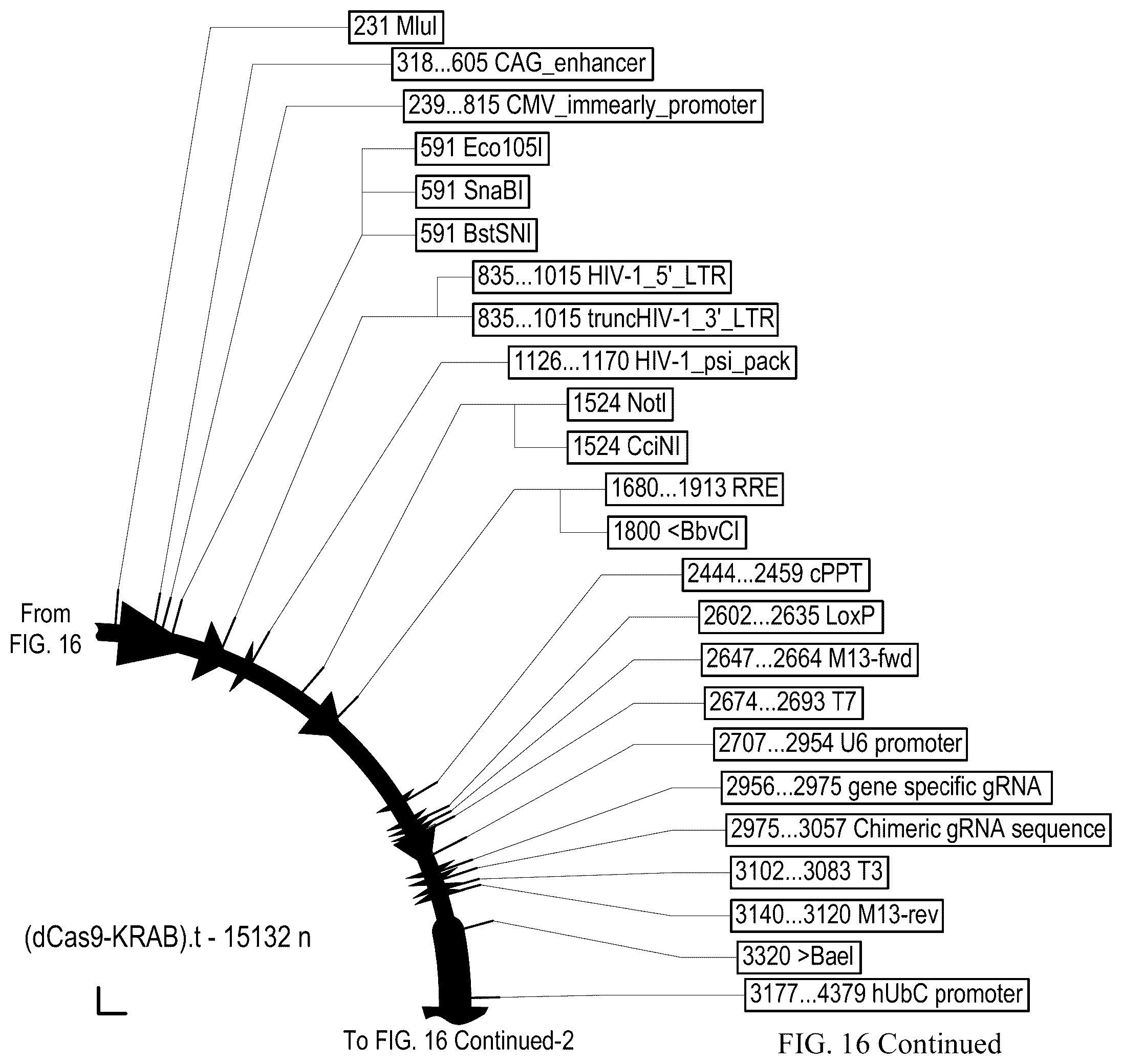 Patent US12410428 Figure 19 – RNA-guided transcriptional regulation and methods of using the same for the treatment of back pain