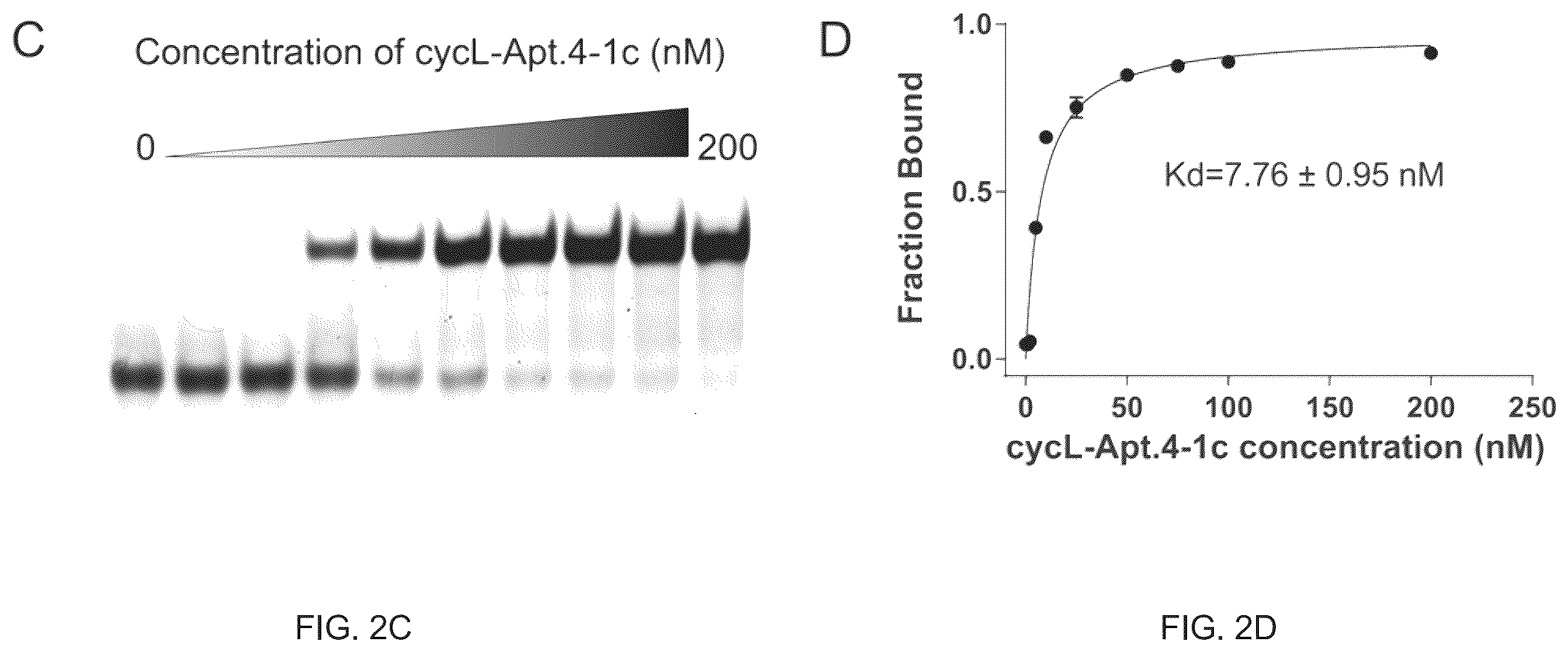 Patent US12410432 Figure 3 – L-RNA aptamer cyclization and use thereof