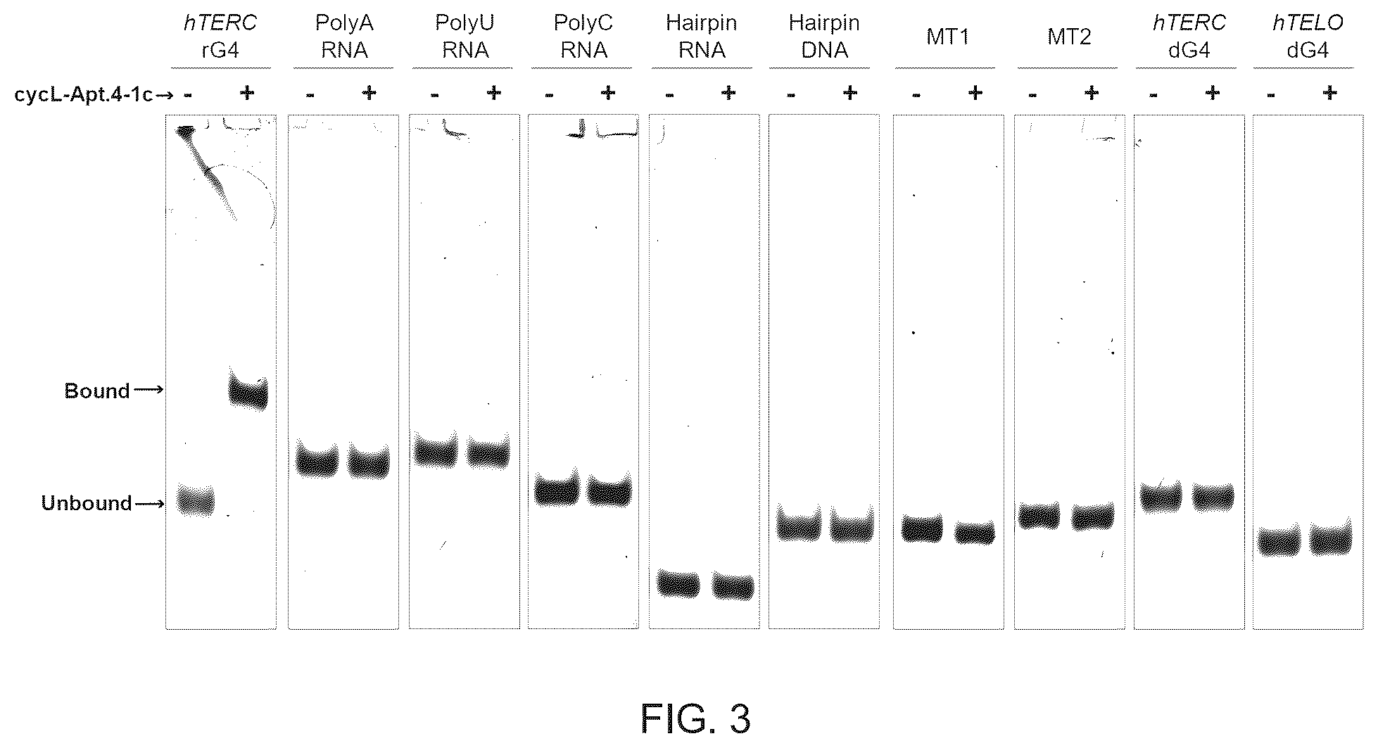 Patent US12410432 Figure 4 – L-RNA aptamer cyclization and use thereof
