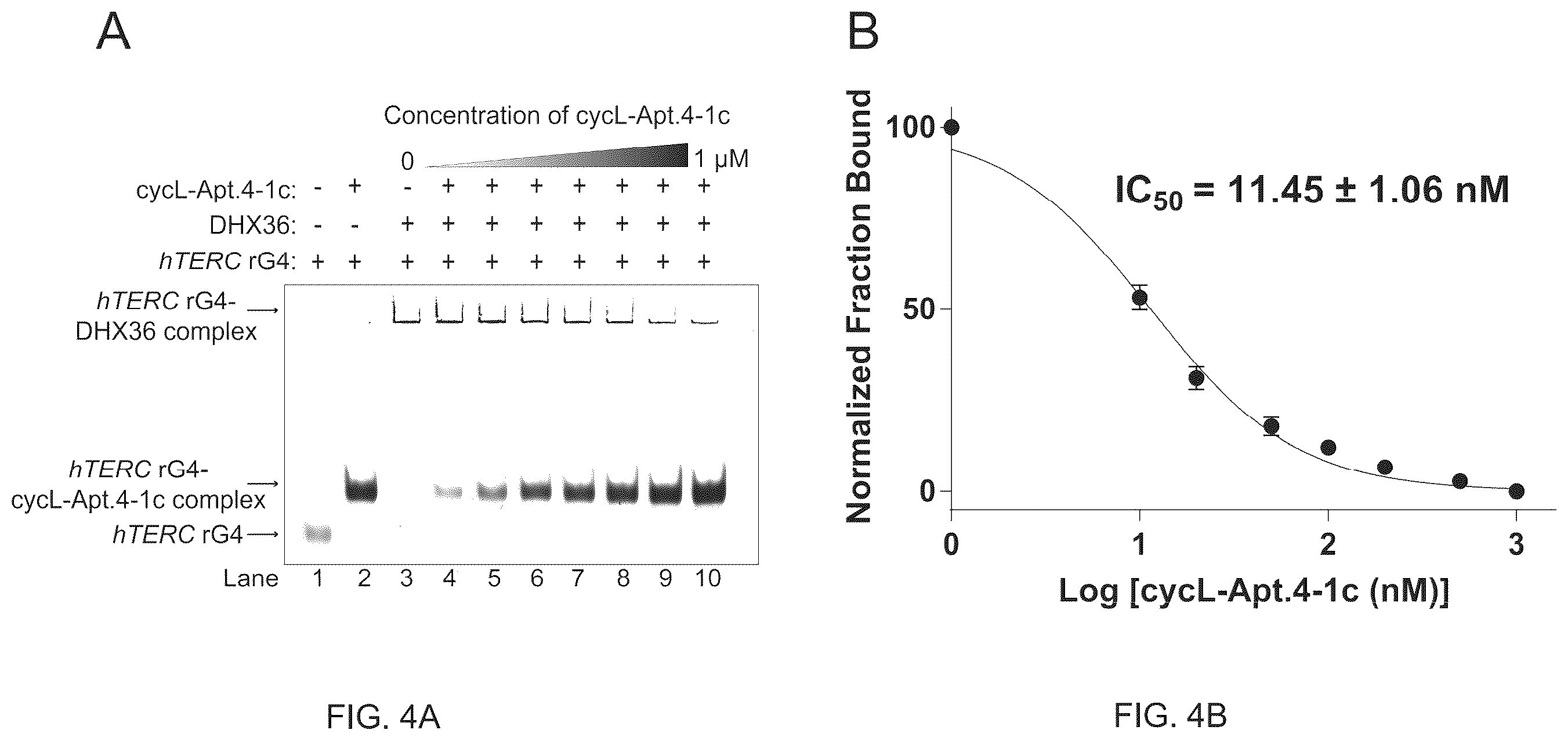 Patent US12410432 Figure 5 – L-RNA aptamer cyclization and use thereof