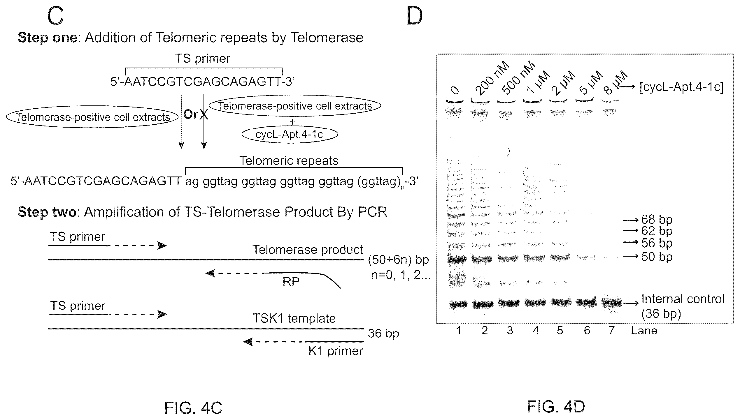 Patent US12410432 Figure 6 – L-RNA aptamer cyclization and use thereof