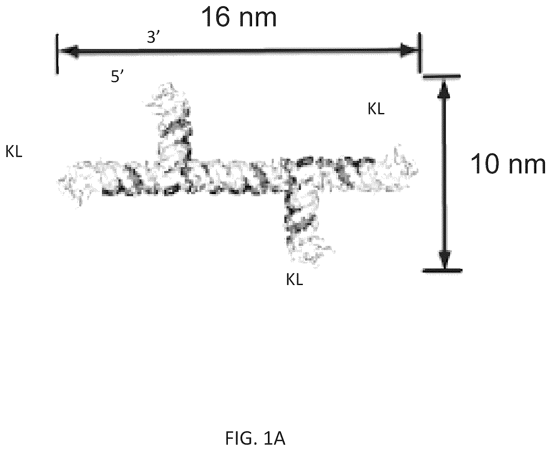 Patent US12410433 Figure 1 – Building designer RNA nano-structures for synthetic biology applications