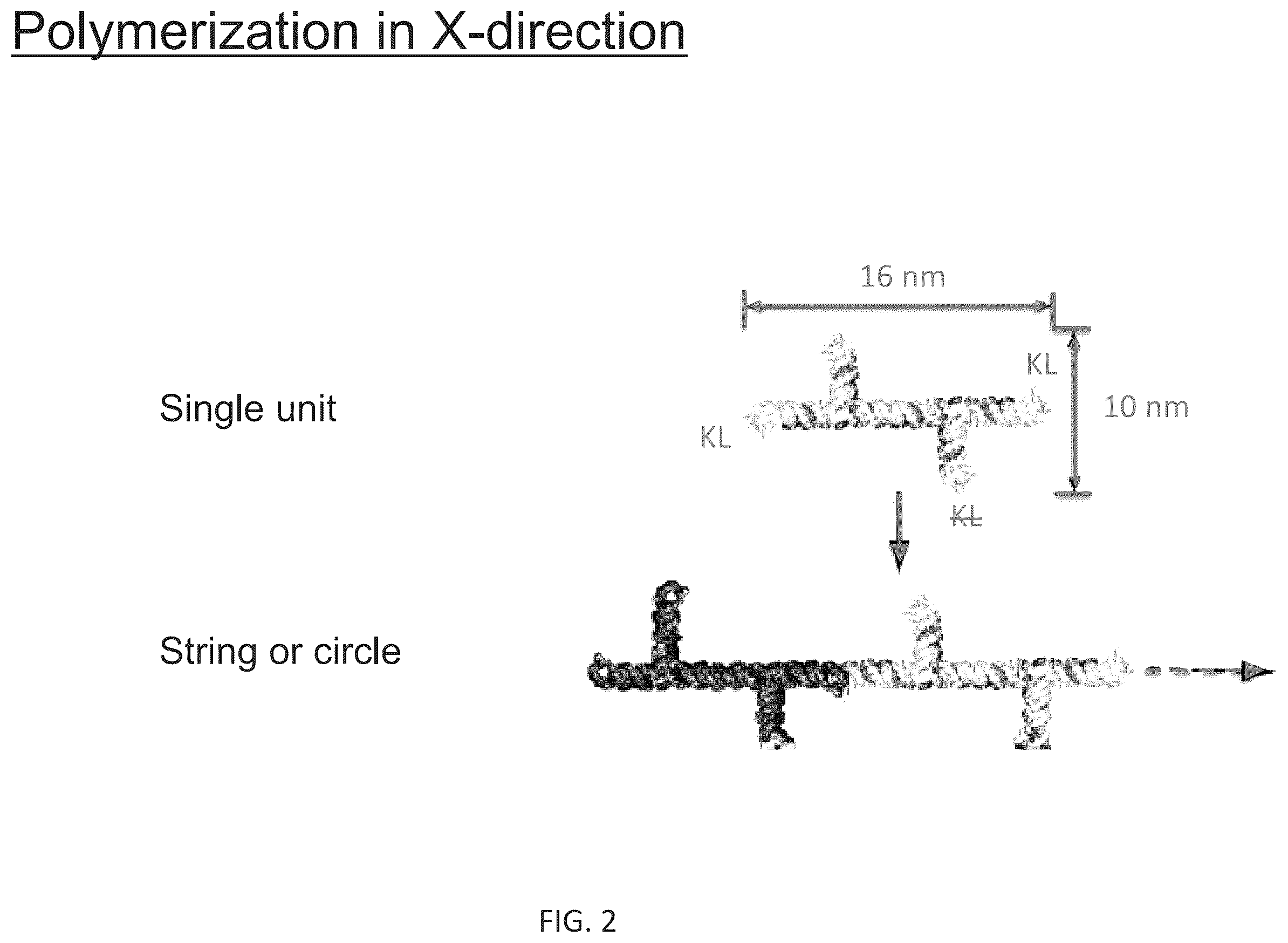 Patent US12410433 Figure 4 – Building designer RNA nano-structures for synthetic biology applications