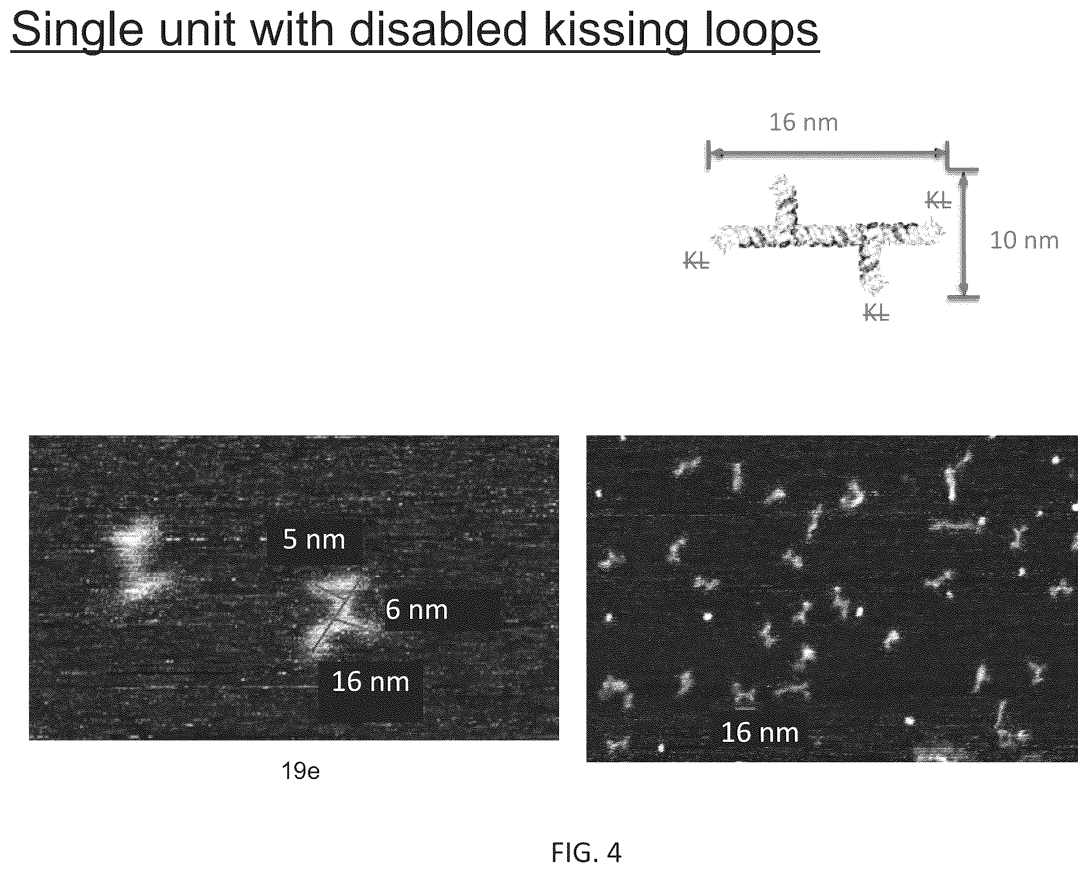 Patent US12410433 Figure 6 – Building designer RNA nano-structures for synthetic biology applications