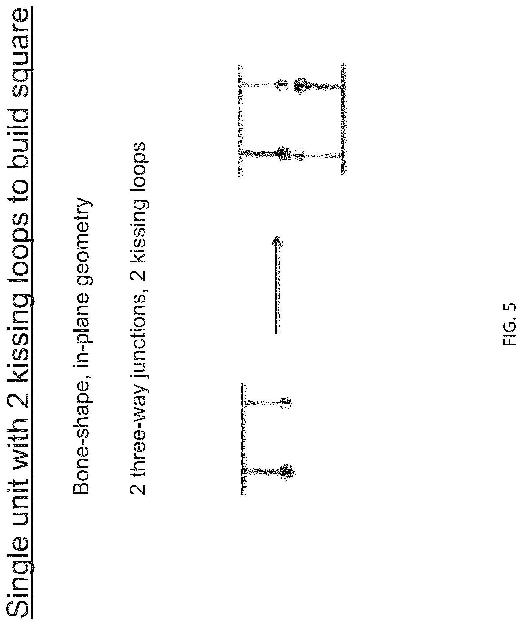 Patent US12410433 Figure 7 – Building designer RNA nano-structures for synthetic biology applications