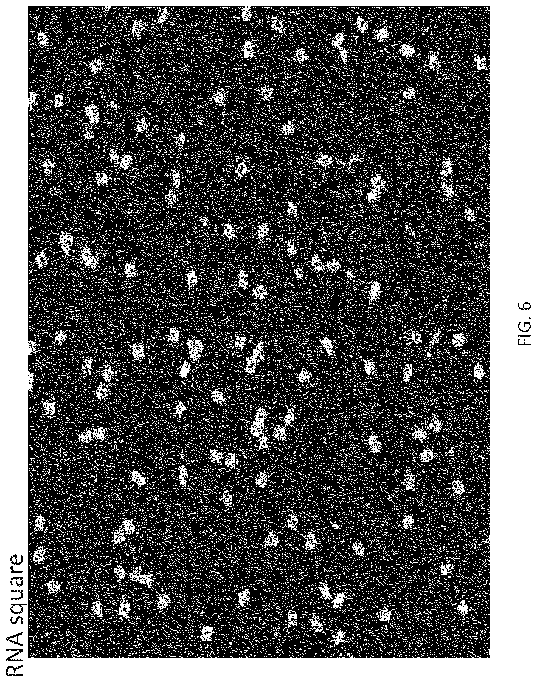Patent US12410433 Figure 8 – Building designer RNA nano-structures for synthetic biology applications