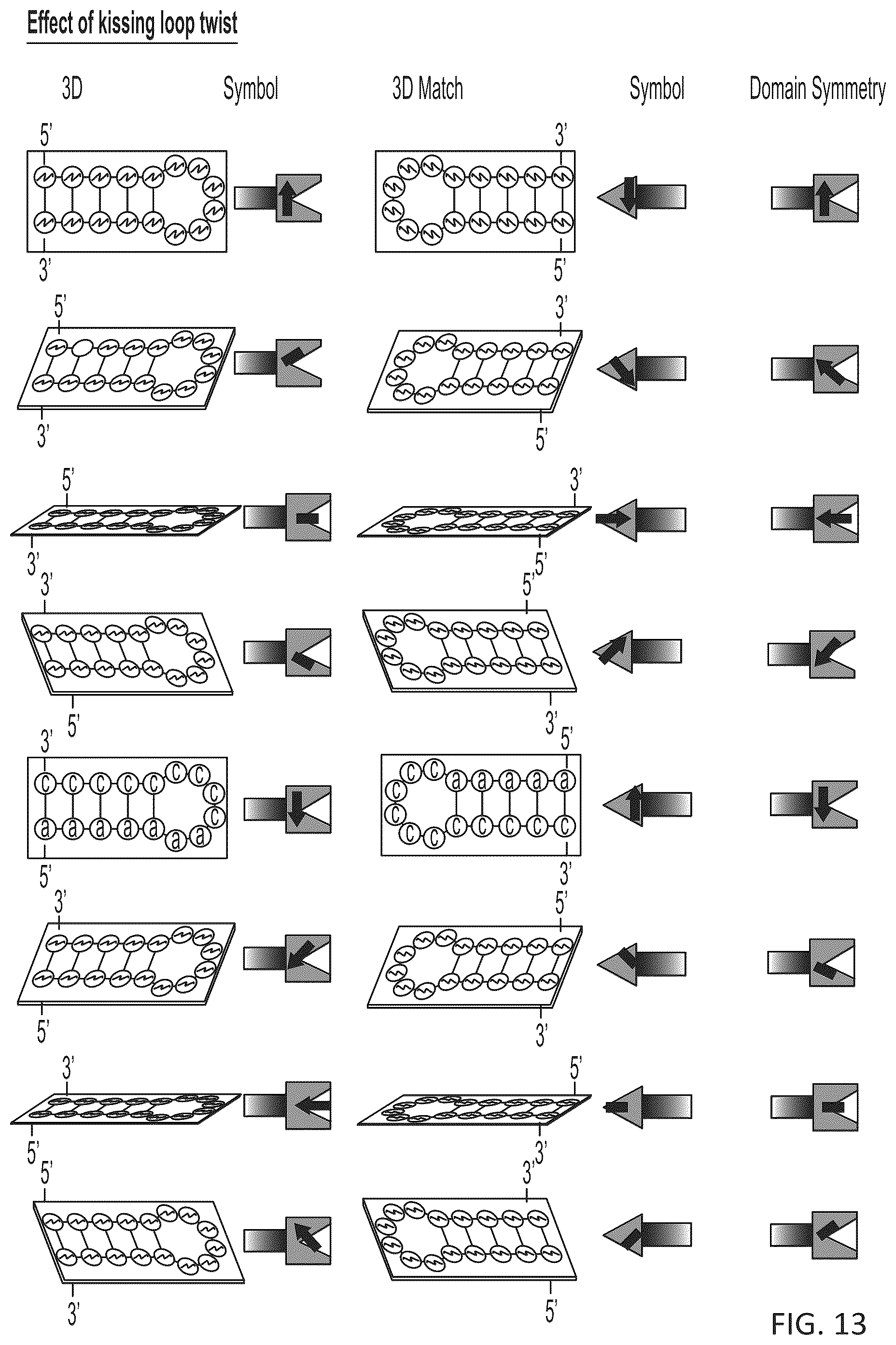 Patent US12410433 Figure 17 – Building designer RNA nano-structures for synthetic biology applications