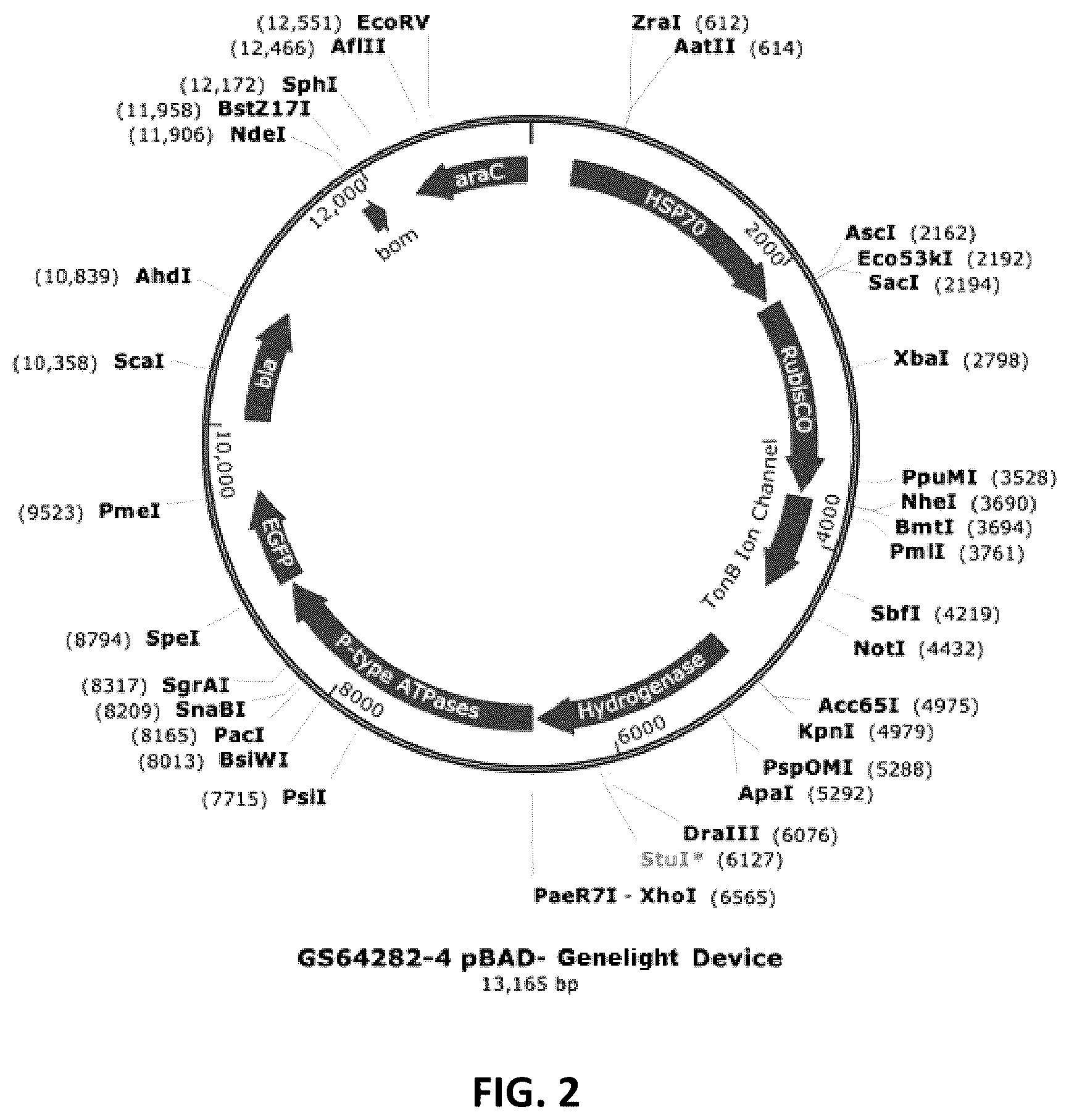 Patent US12410434 Figure 2 – Genelight cultures and extracts and applications thereof