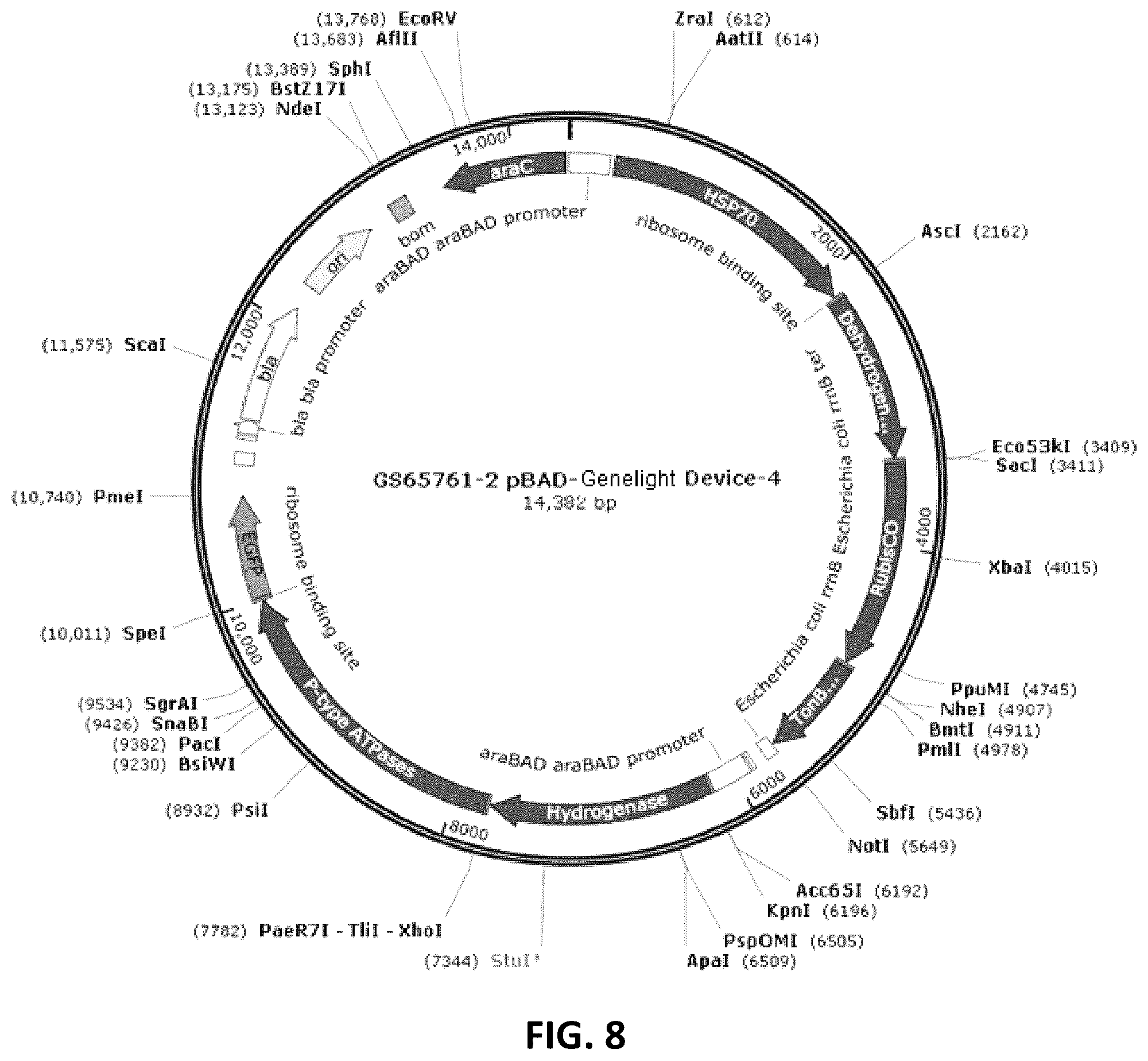 Patent US12410434 Figure 8 – Genelight cultures and extracts and applications thereof