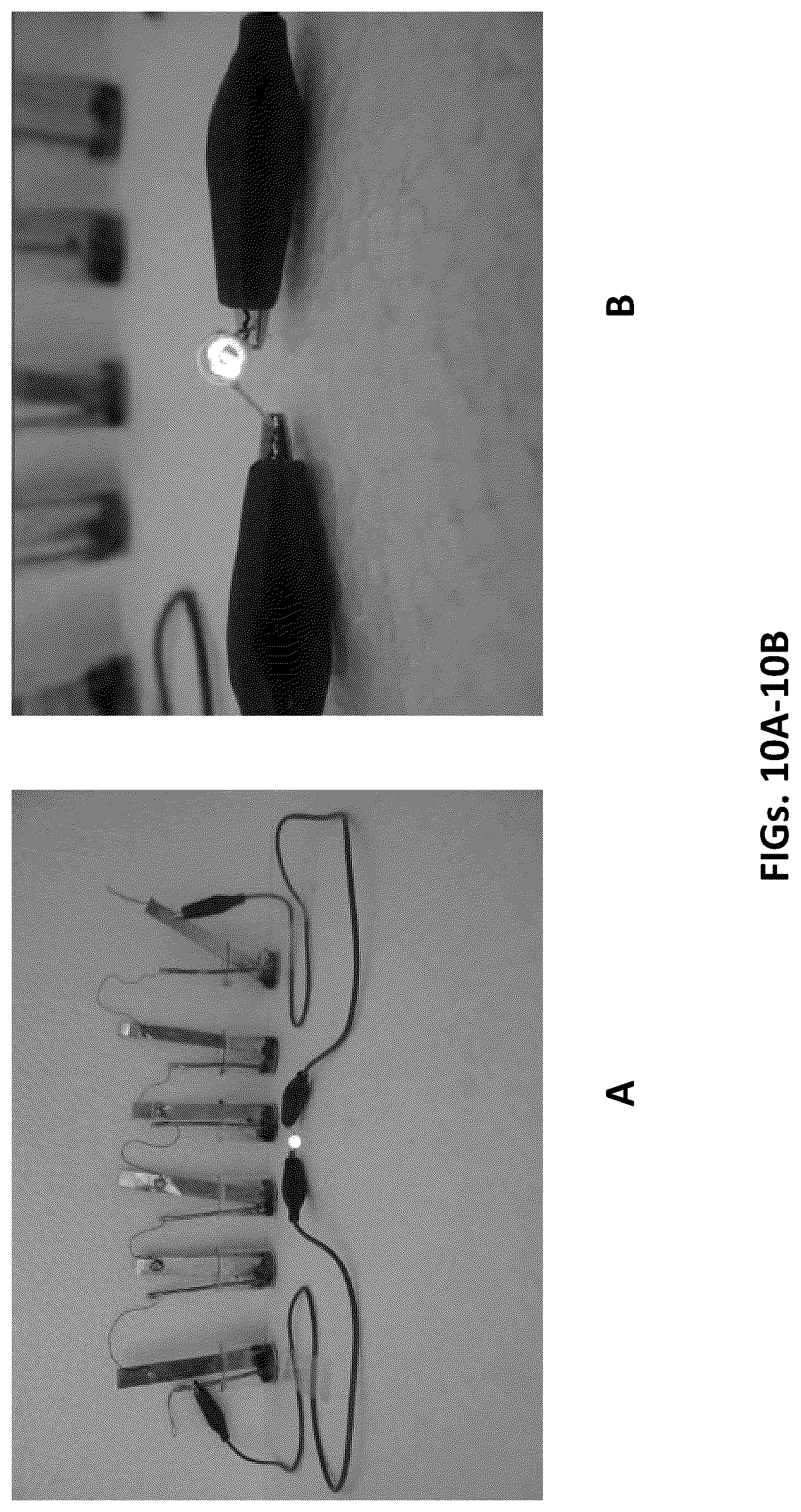 Patent US12410434 Figure 10 – Genelight cultures and extracts and applications thereof