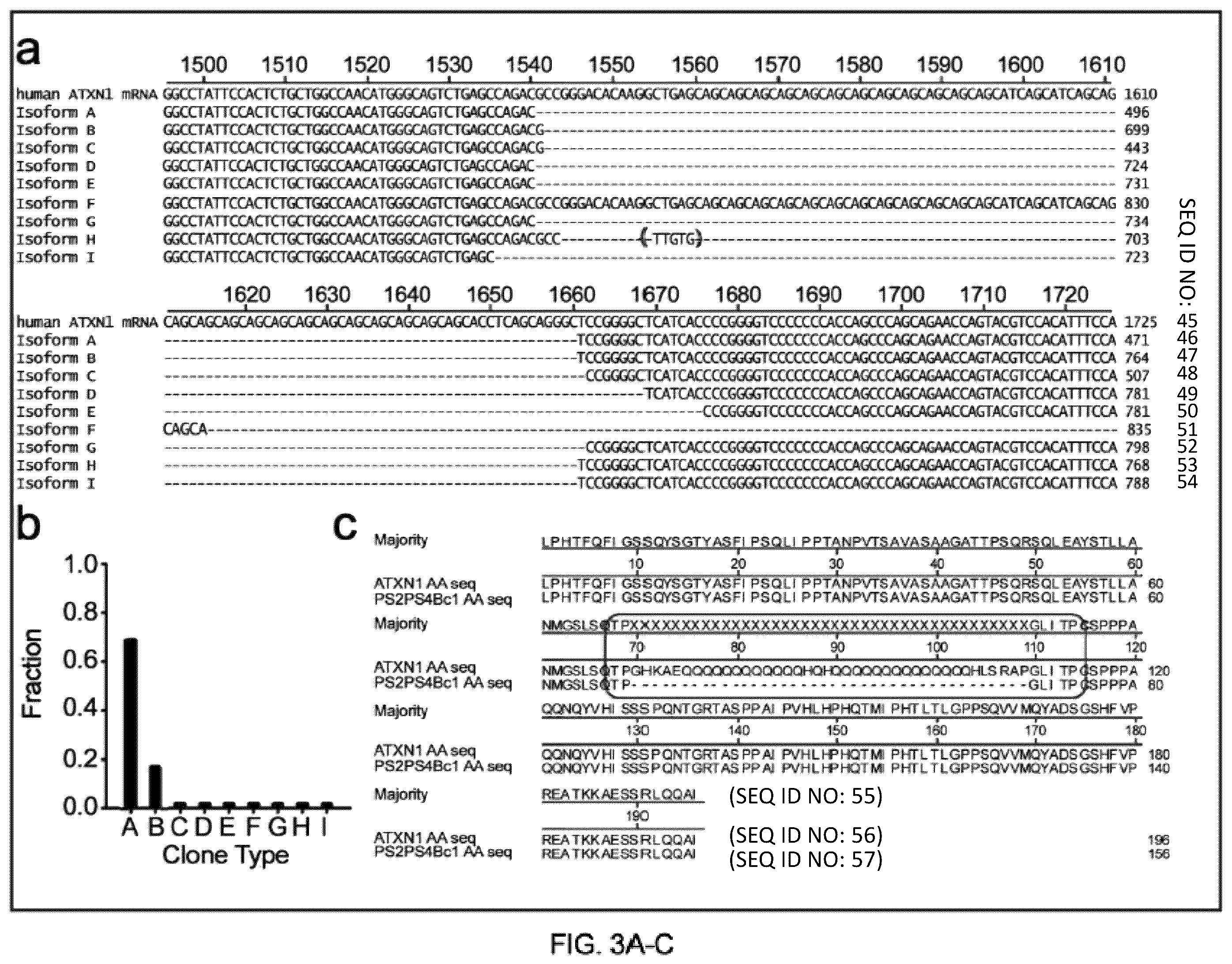 Patent US12410435 Figure 3 – Compositions and methods of use of CRISPR-Cas systems in nucleotide repeat disorders