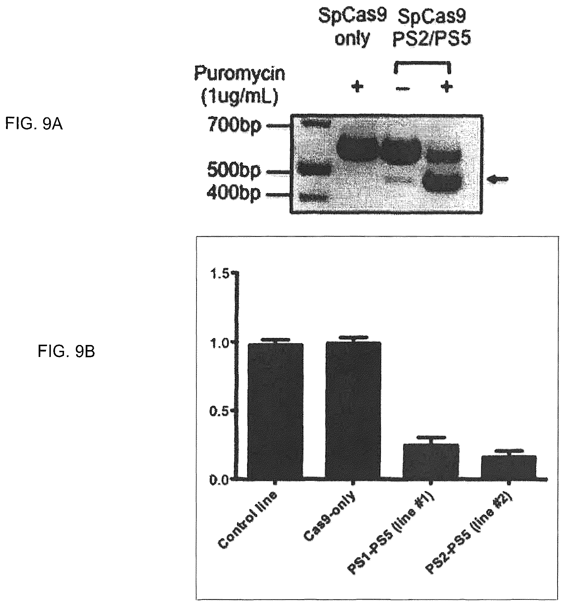 Patent US12410435 Figure 9 – Compositions and methods of use of CRISPR-Cas systems in nucleotide repeat disorders