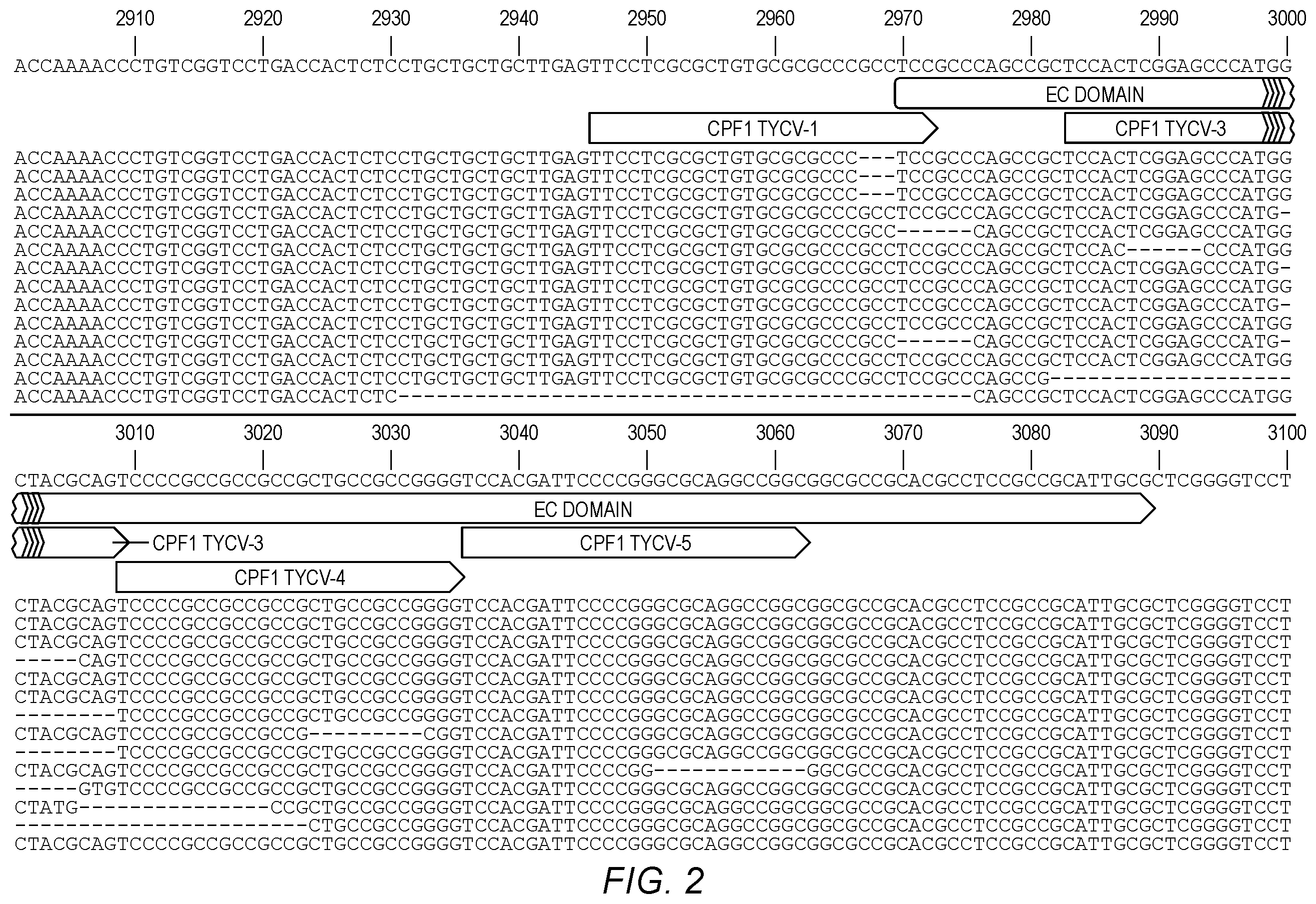 Patent US12410438 Figure 2 – Methods for controlling meristem size for crop improvement