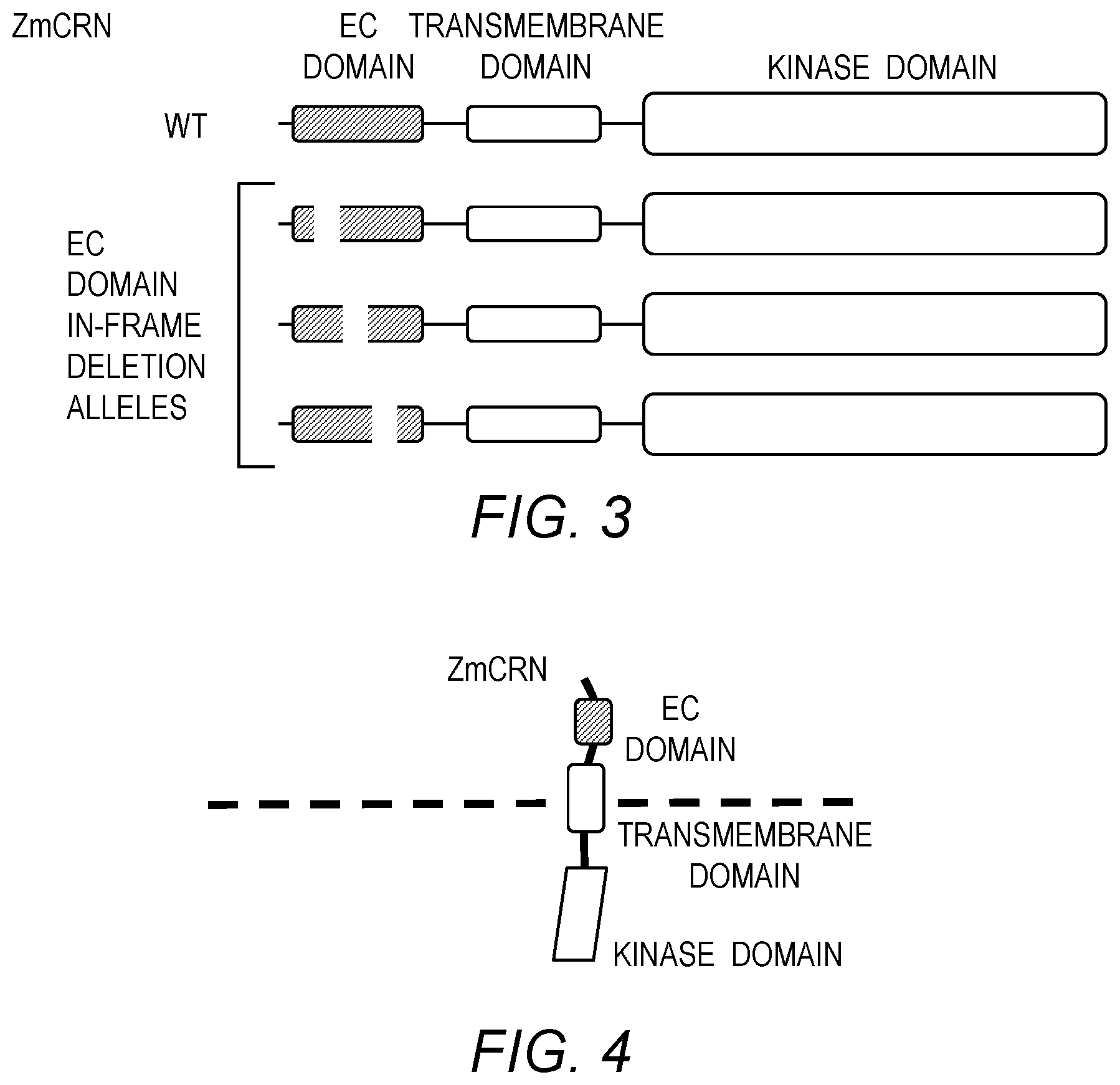Patent US12410438 Figure 3 – Methods for controlling meristem size for crop improvement